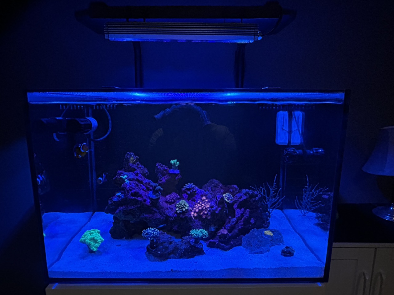 Tank Image