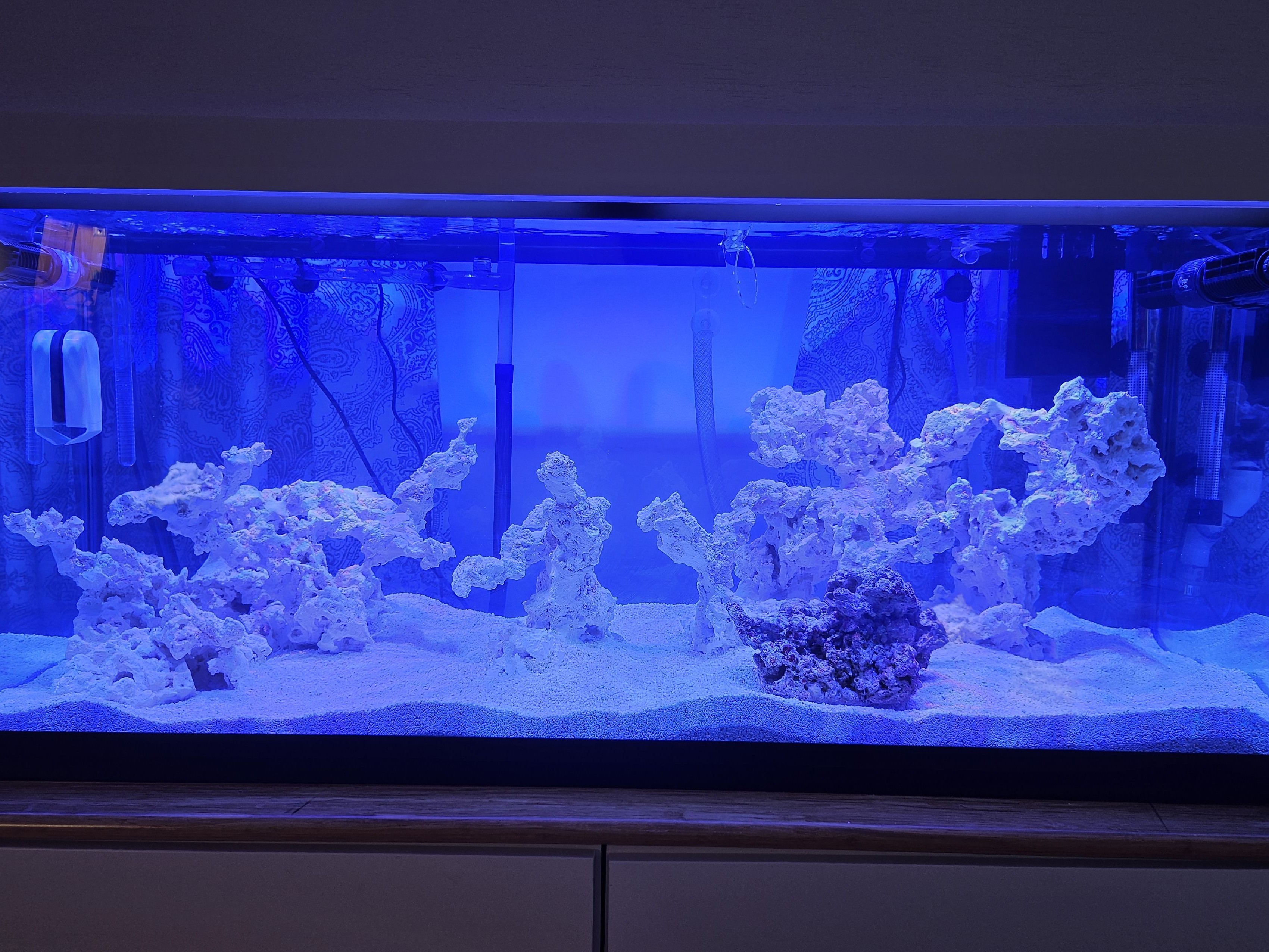 Tank Image