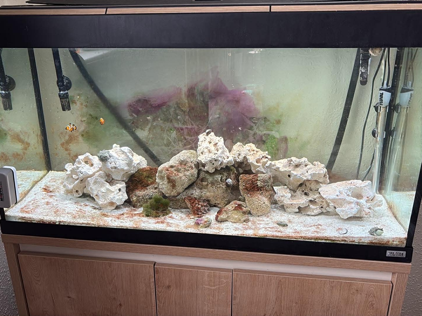 Tank Image