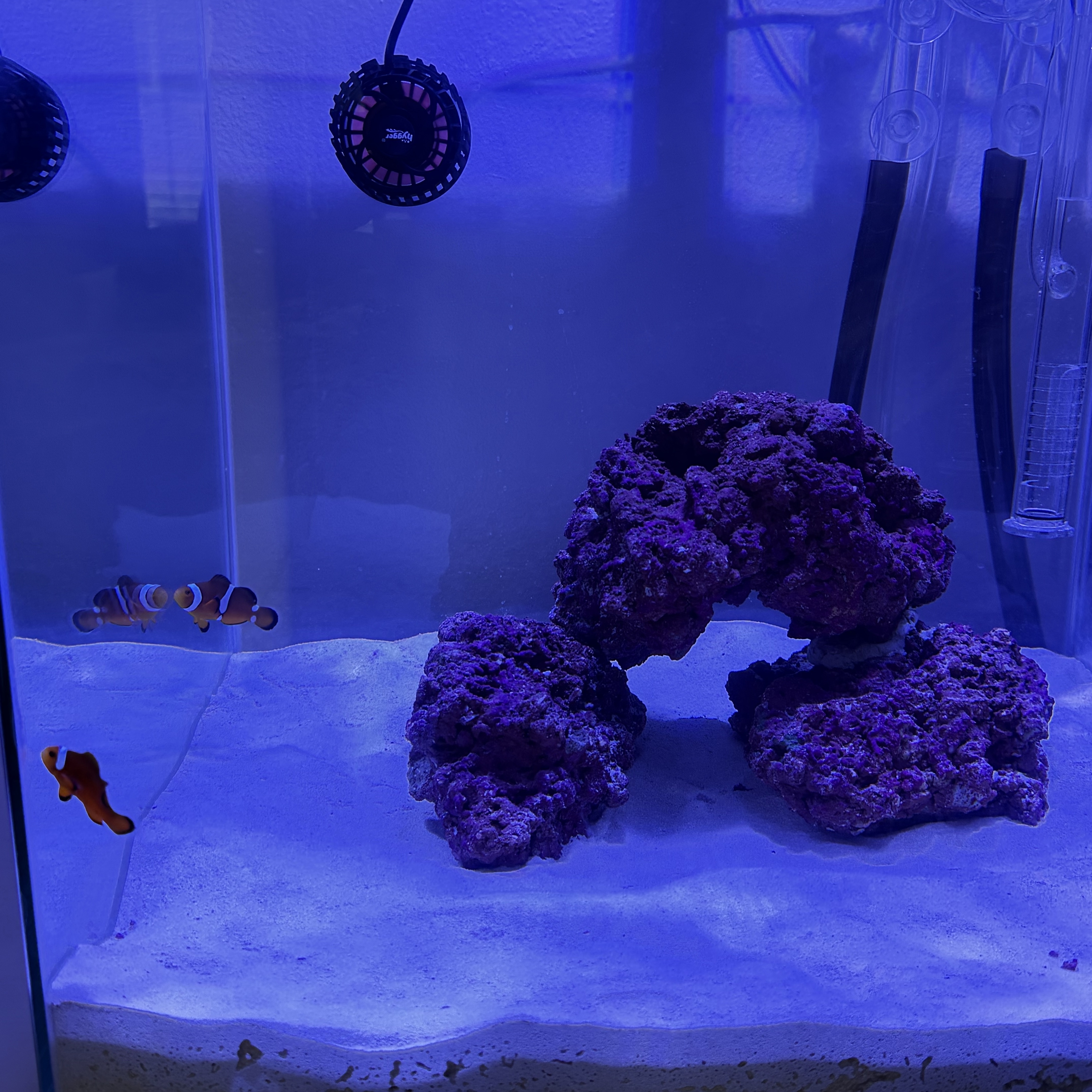 Tank Image