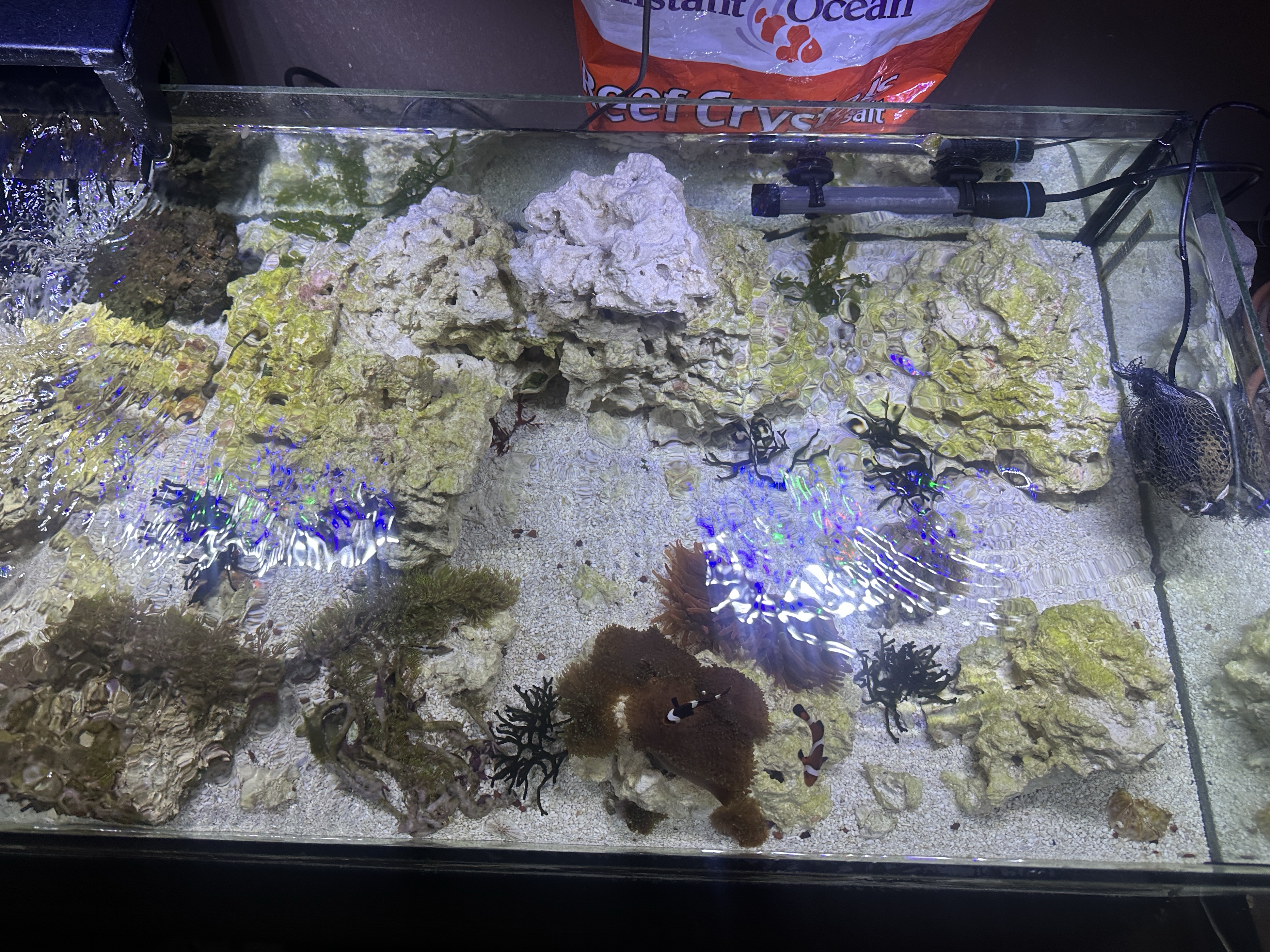 Tank Image