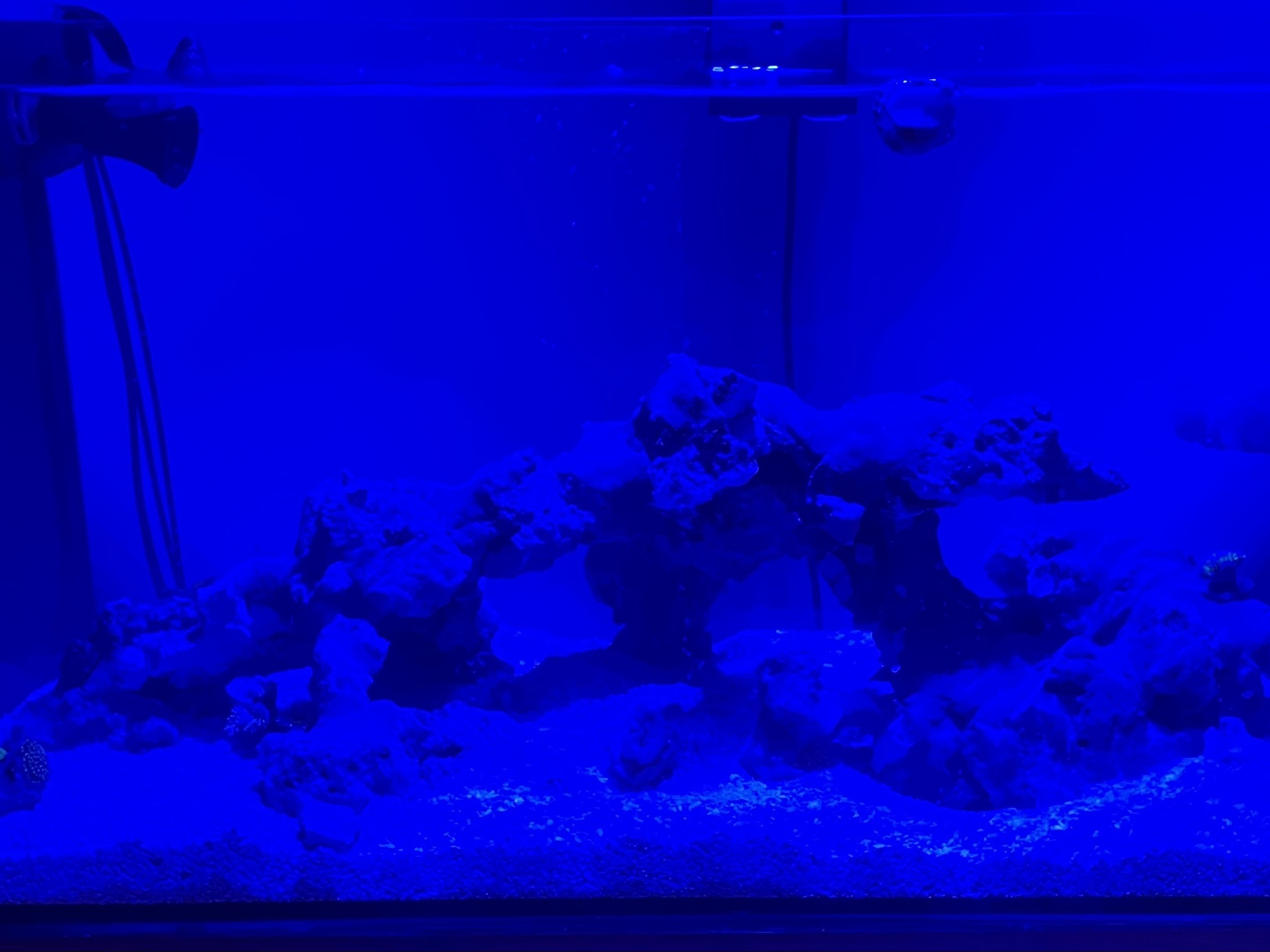 Tank Image