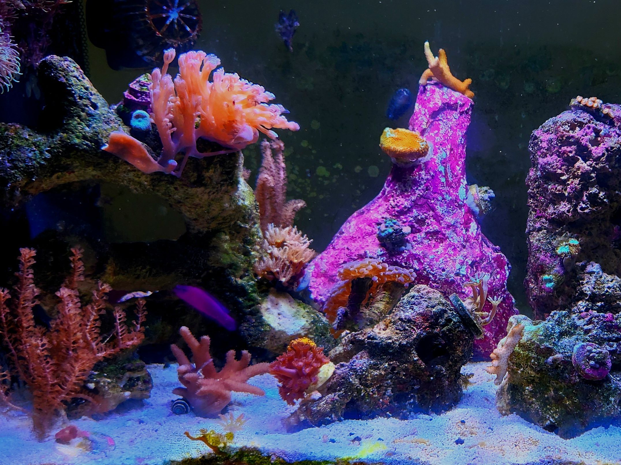 Tank Image