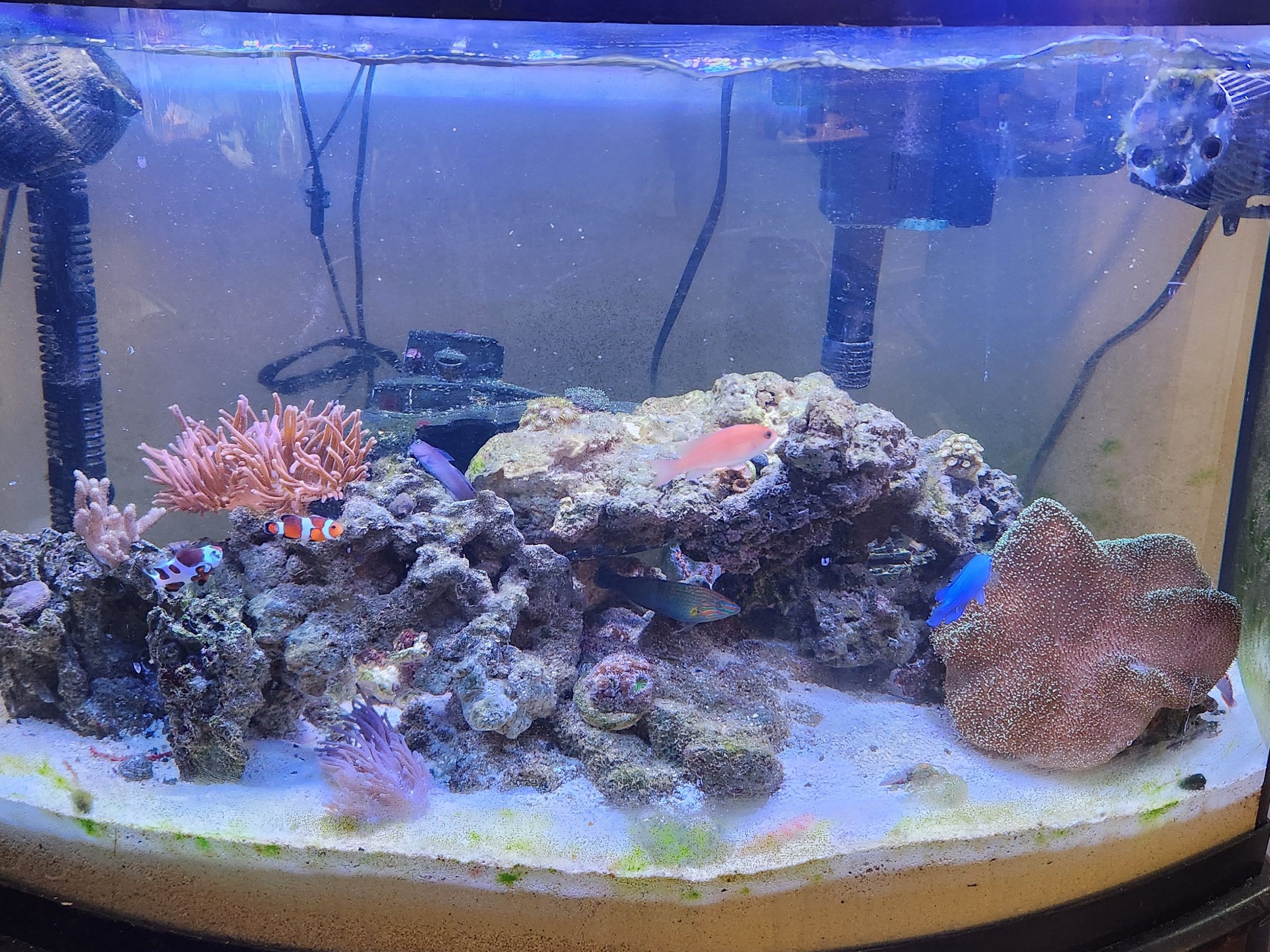 Tank Image
