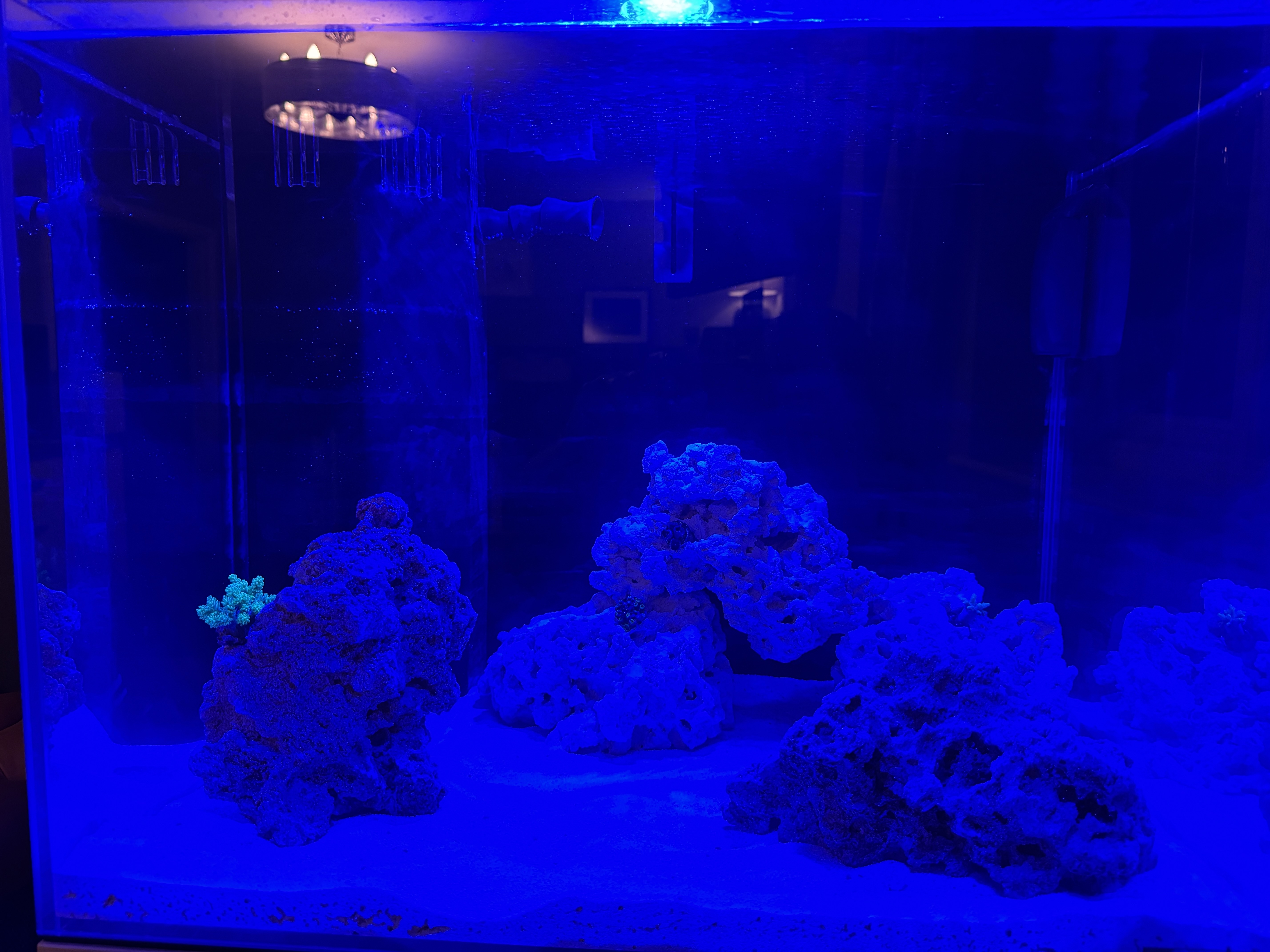 Tank Image