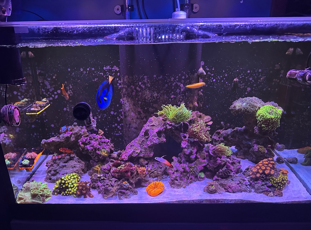 Tank Image