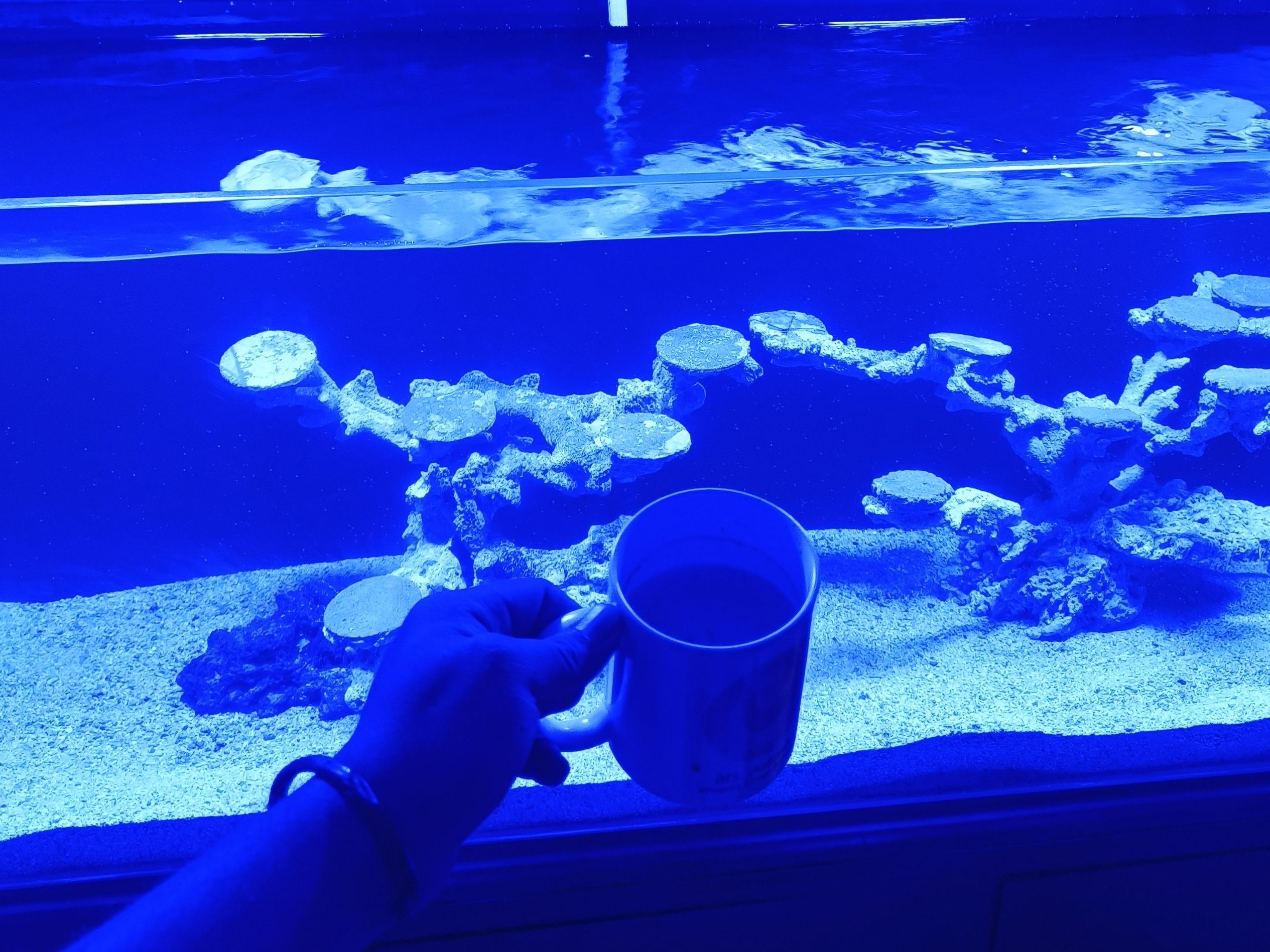 Tank Image