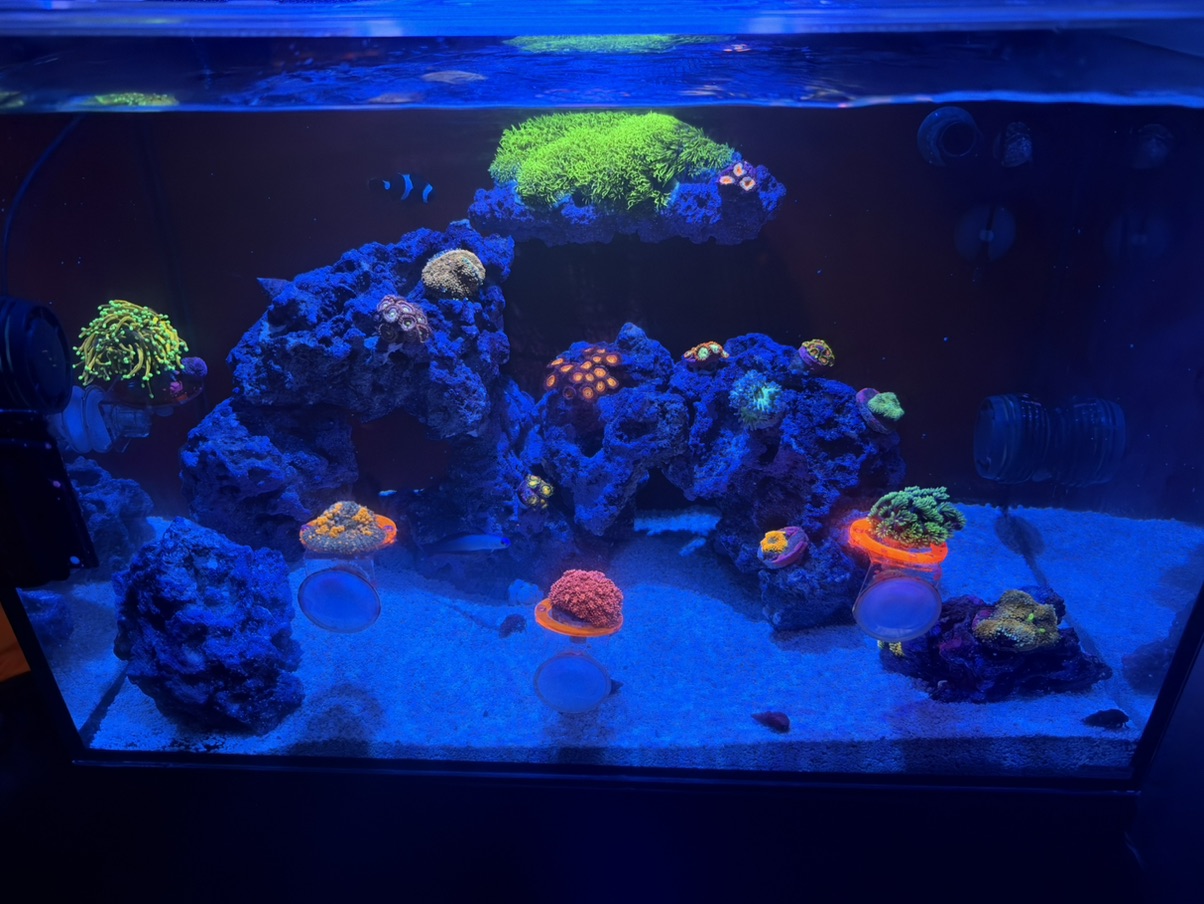 Tank Image