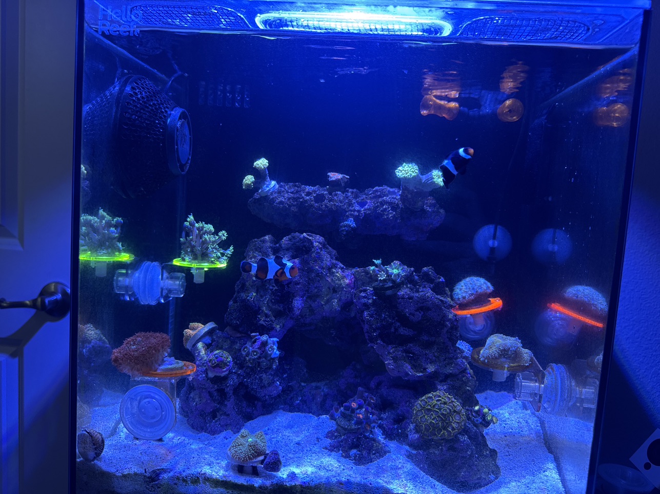 Tank Image