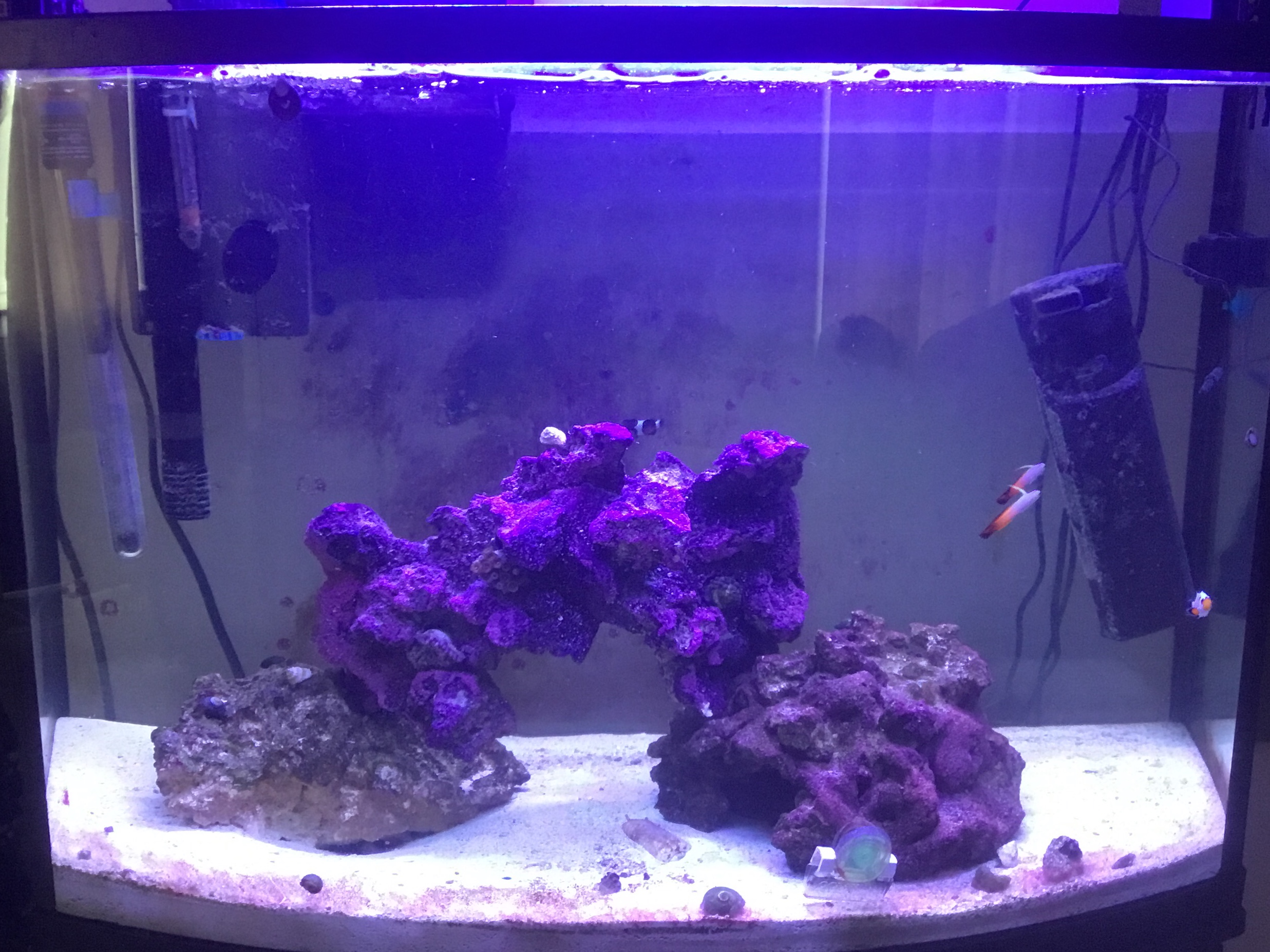 Tank Image