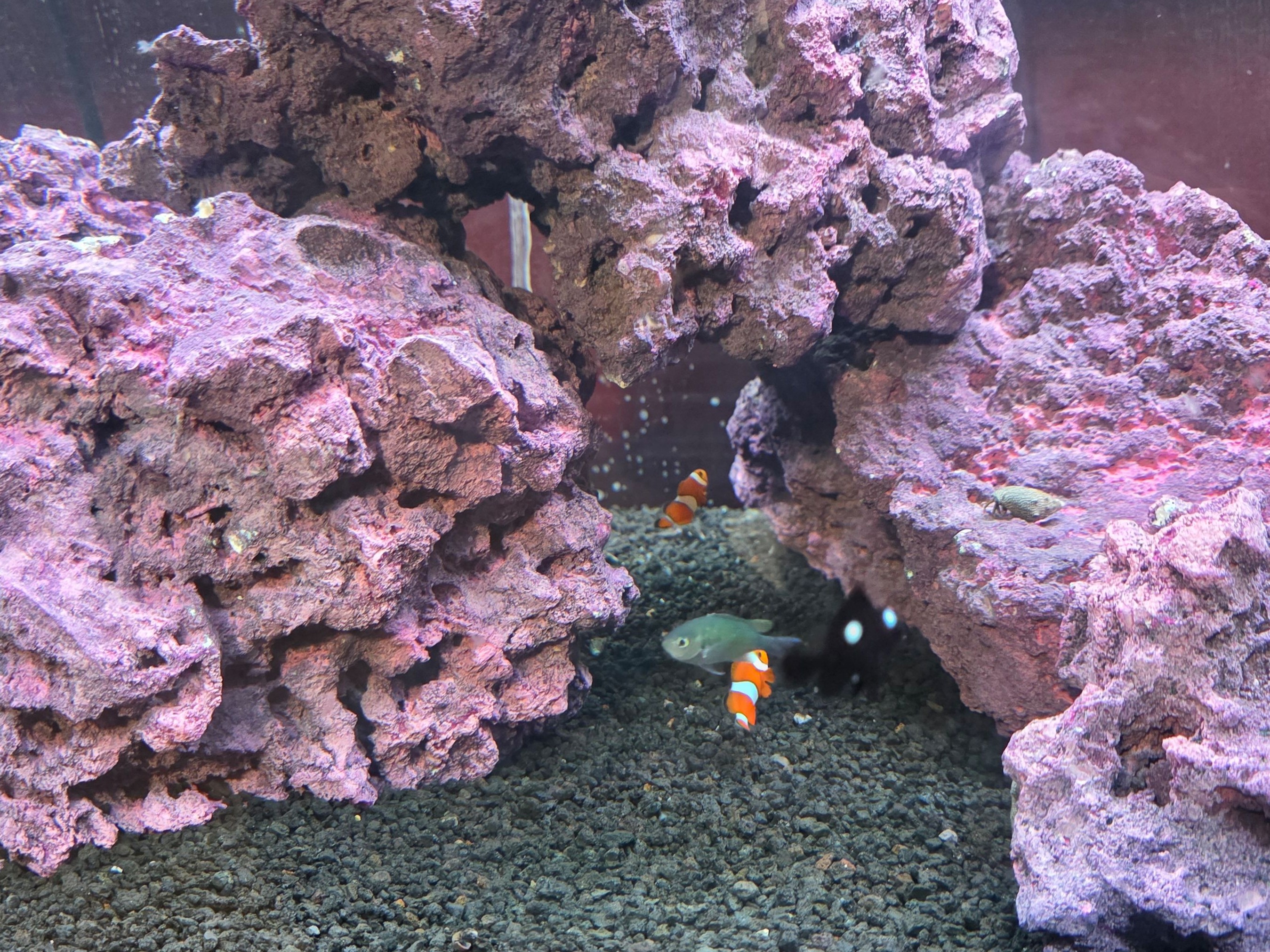 Tank Image