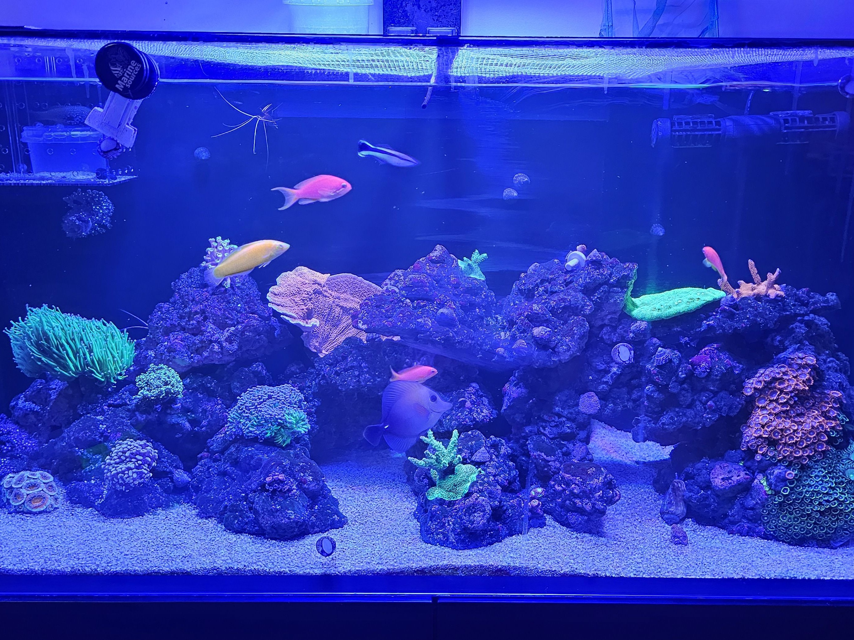 Tank Image