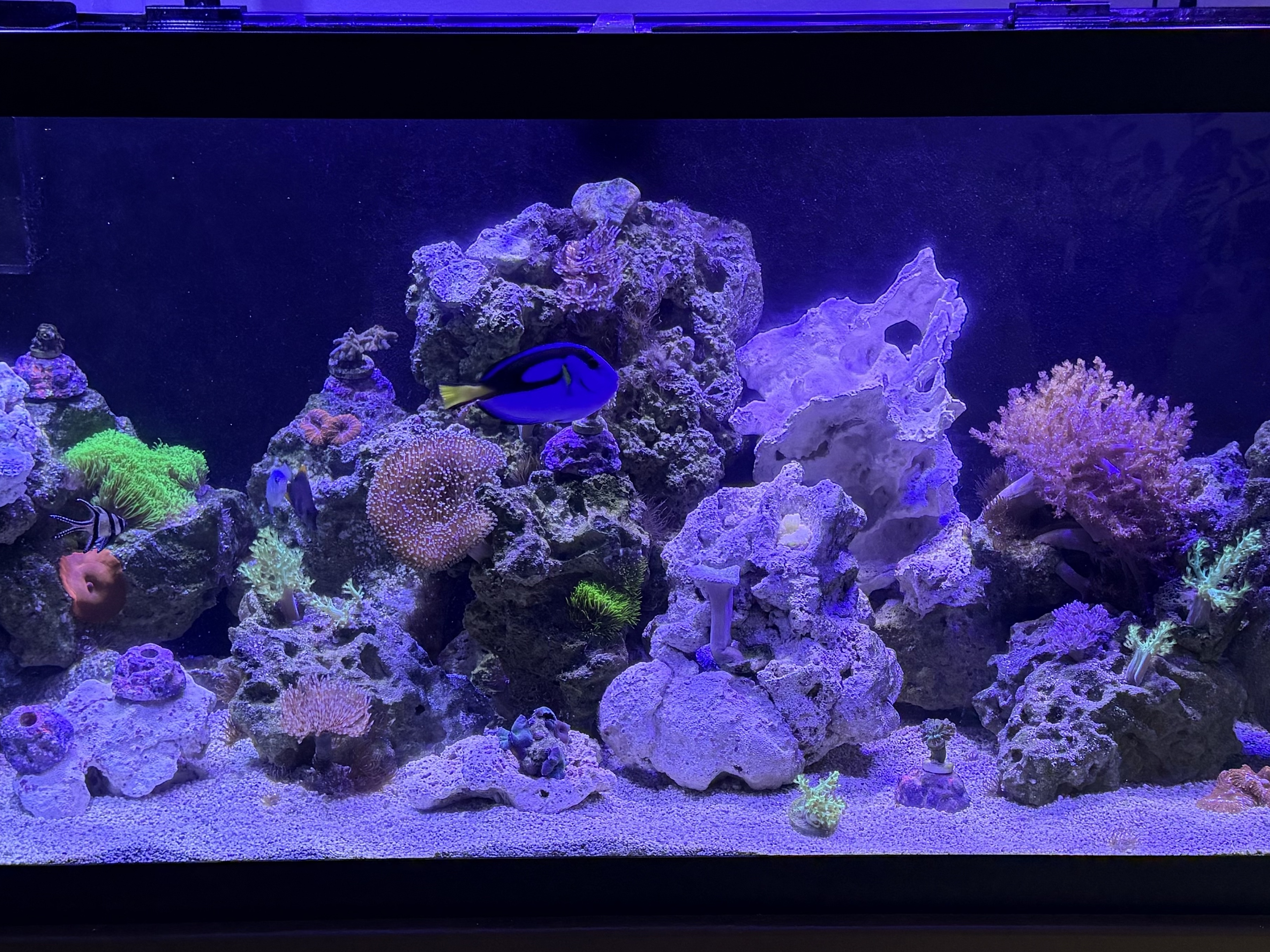 Tank Image