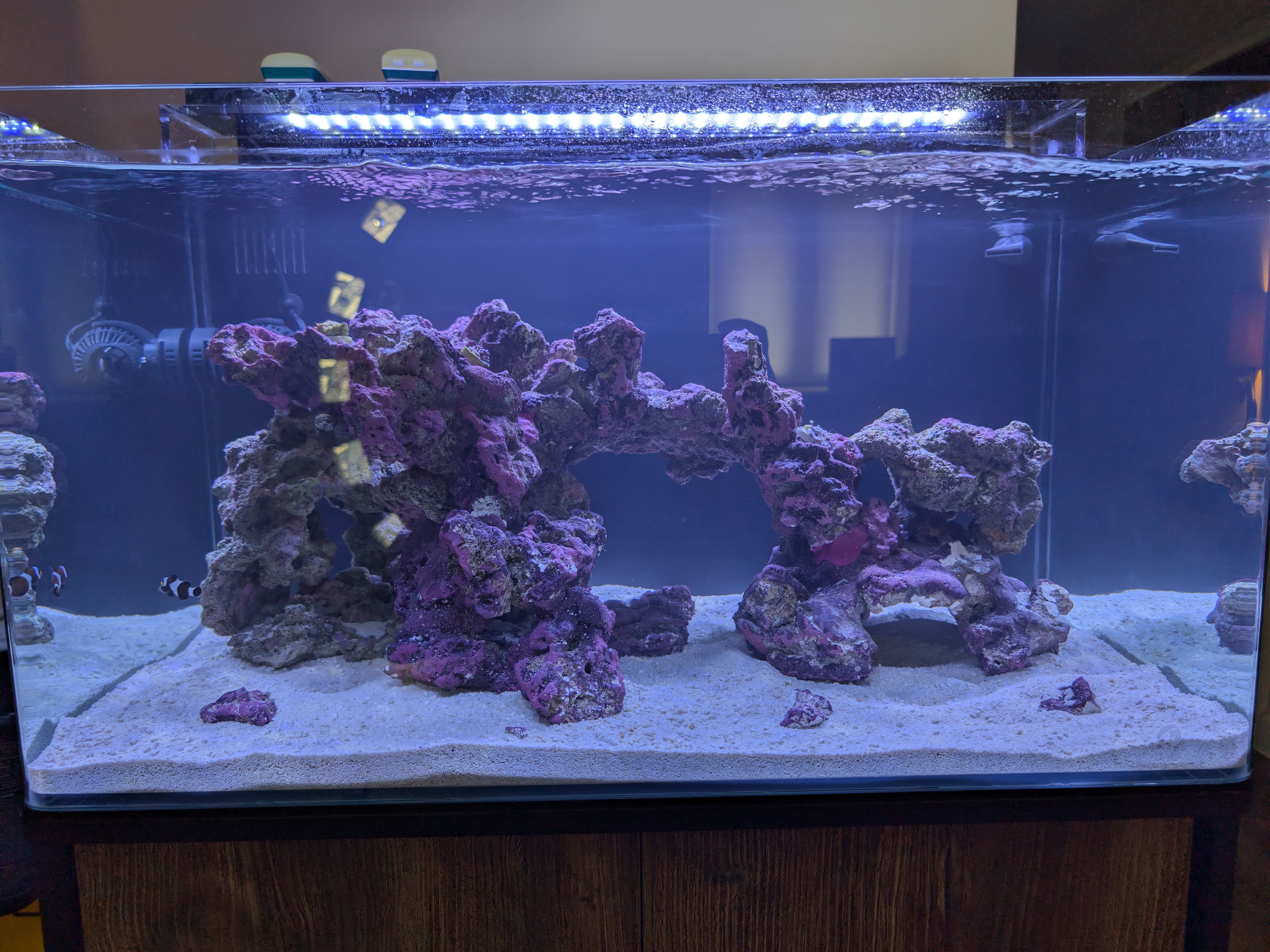 Tank Image