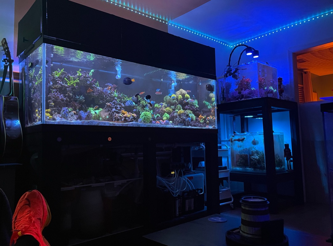 Tank Image