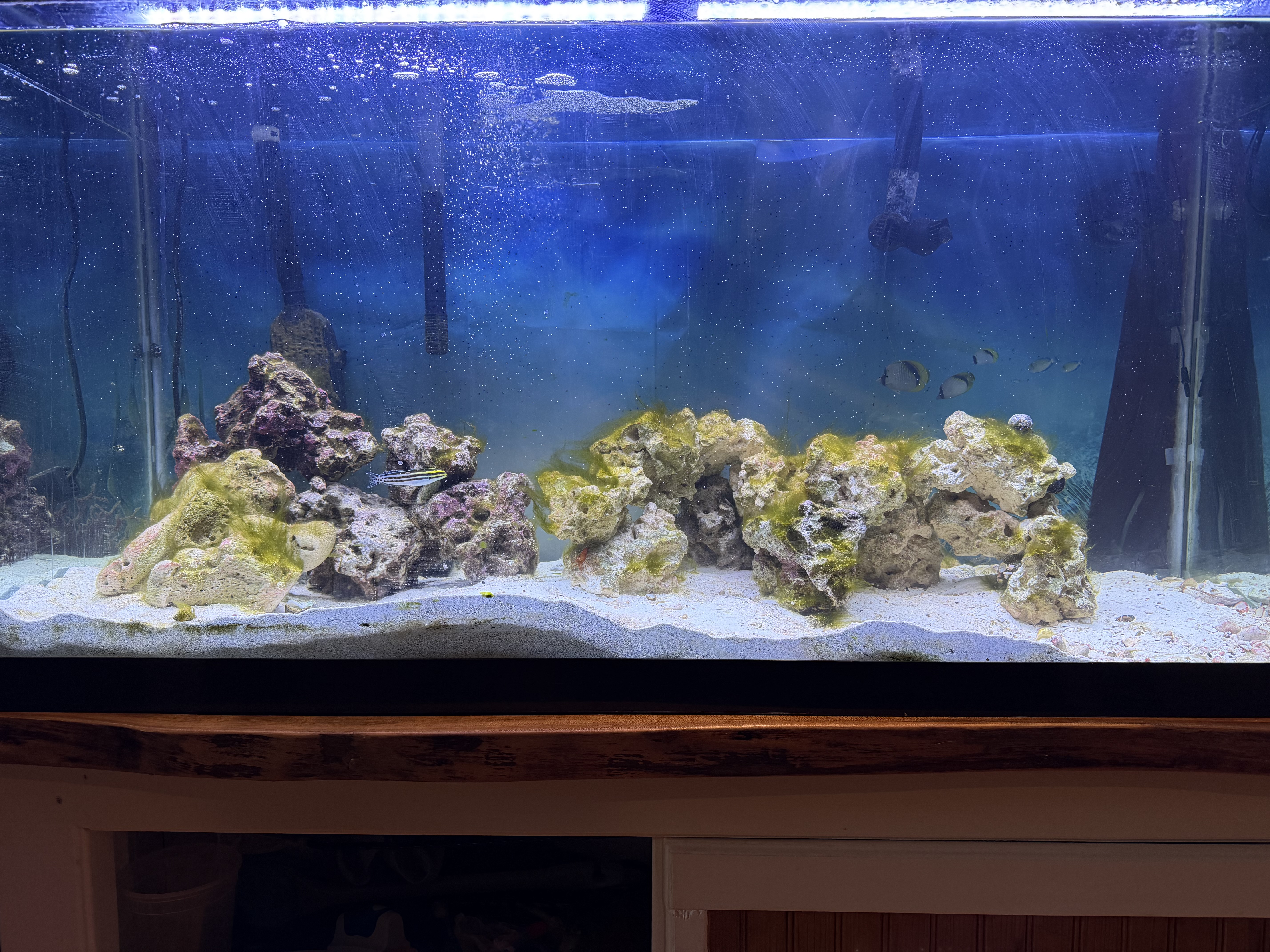 Tank Image