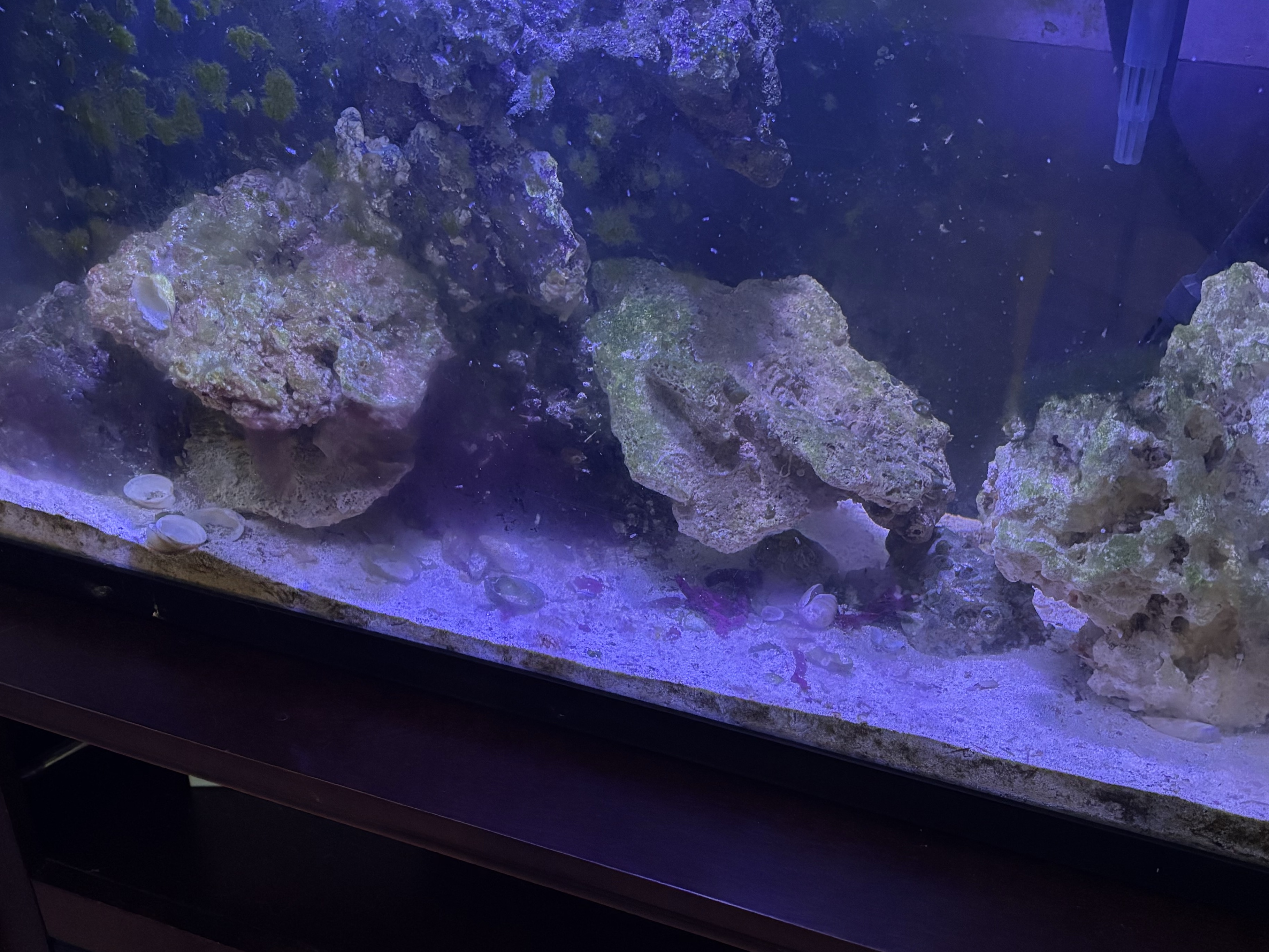 Tank Image