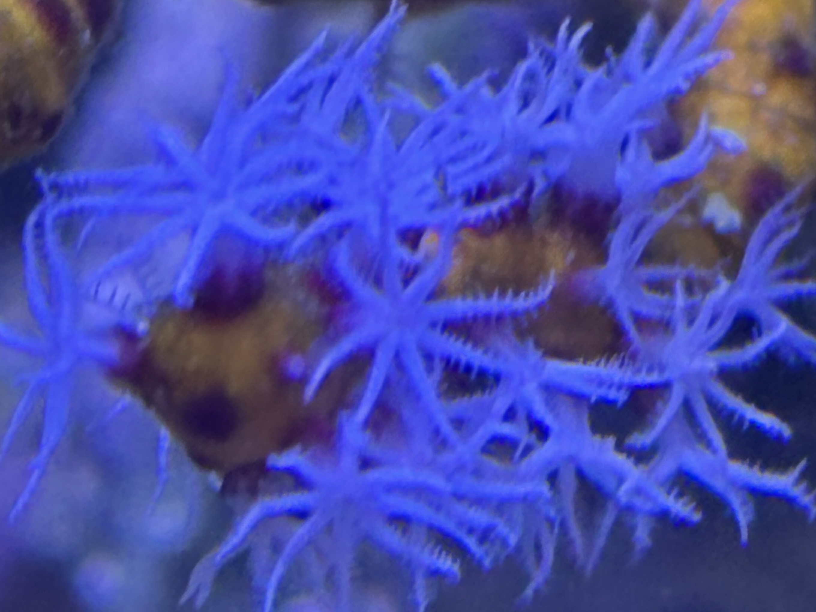 Tank Image