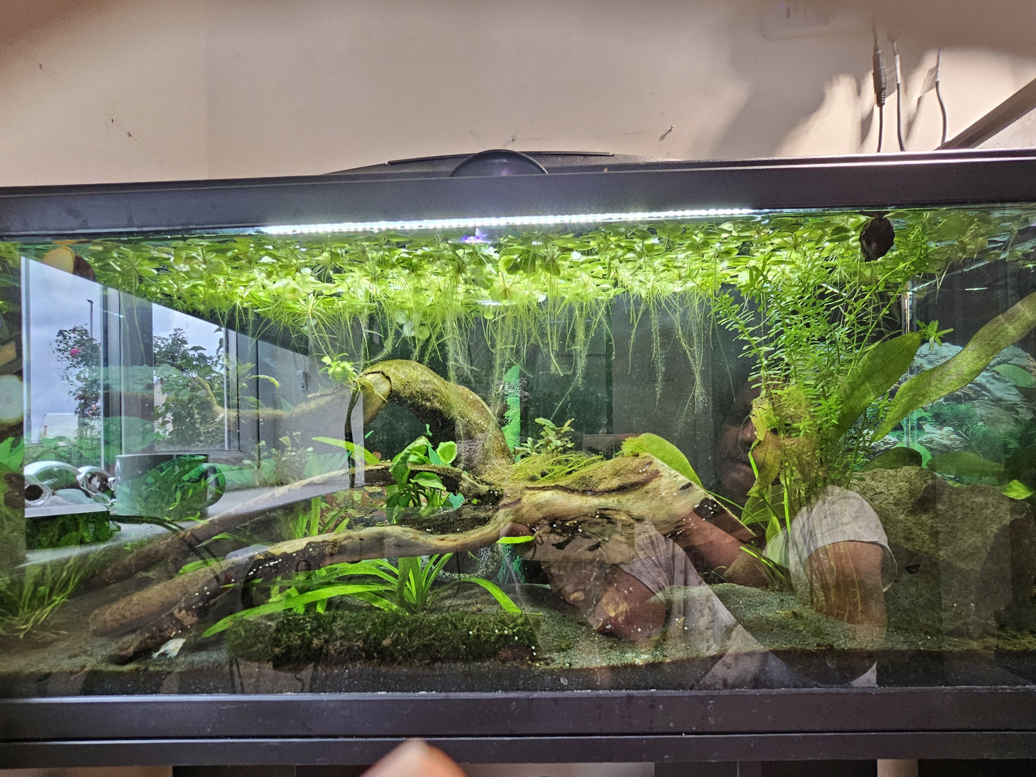 Tank Image
