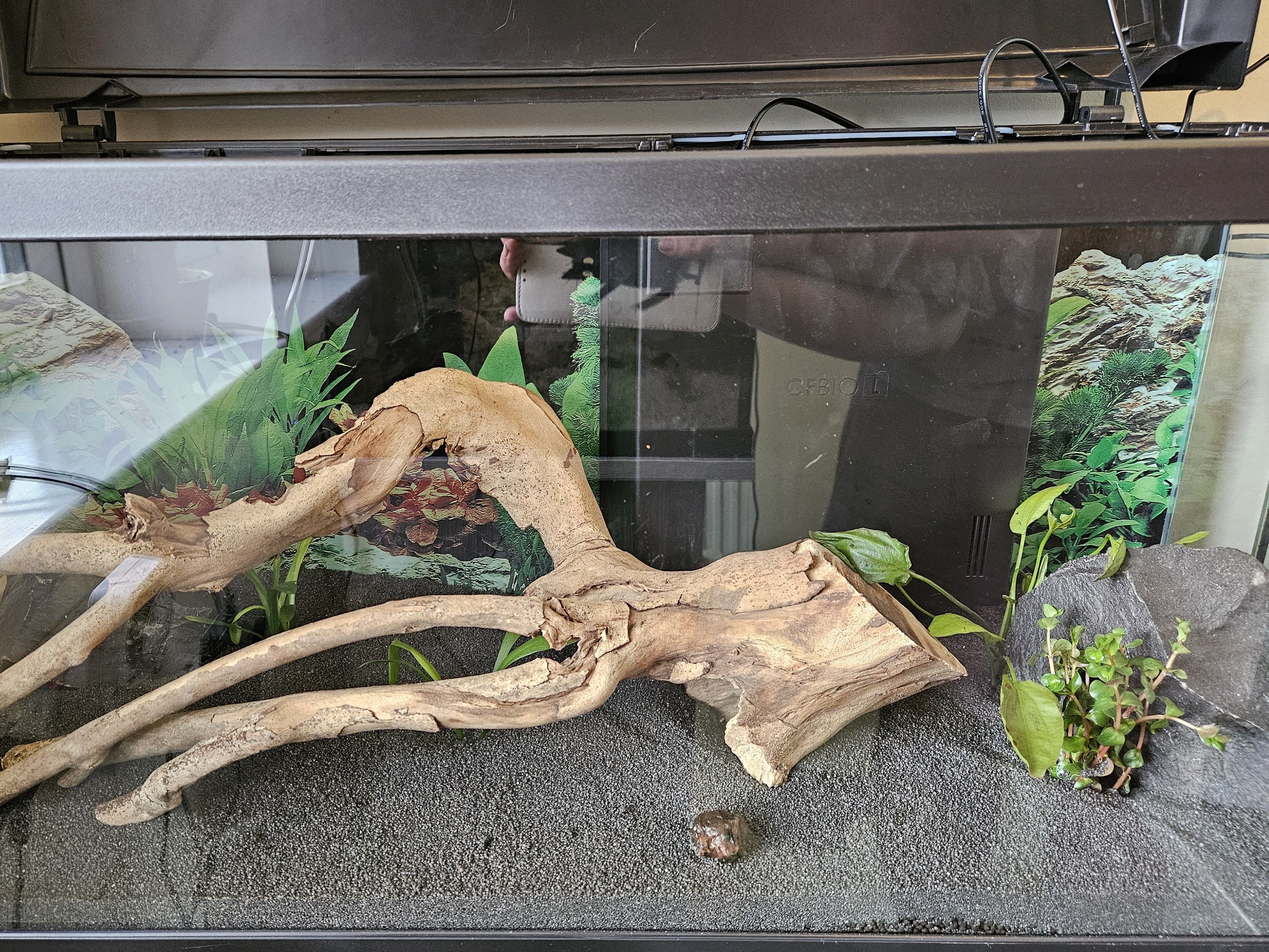 Tank Image