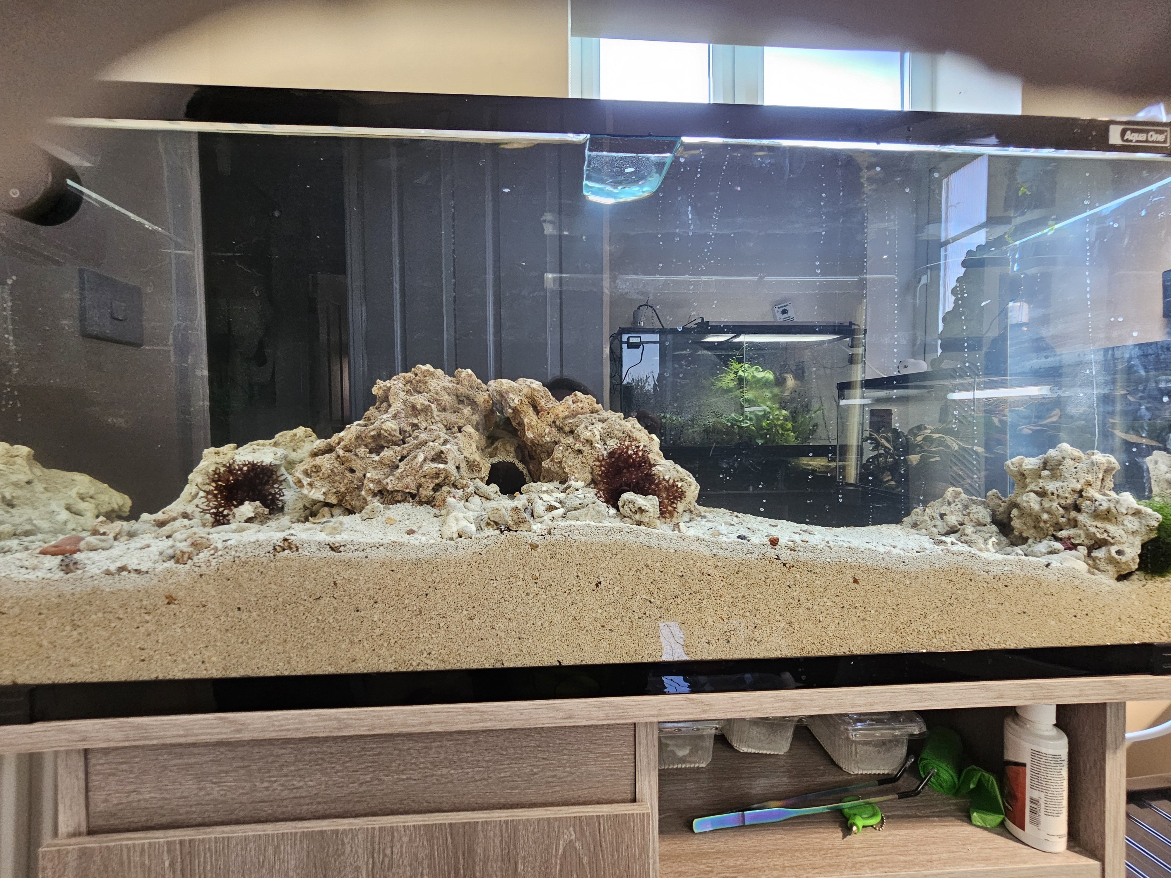 Tank Image