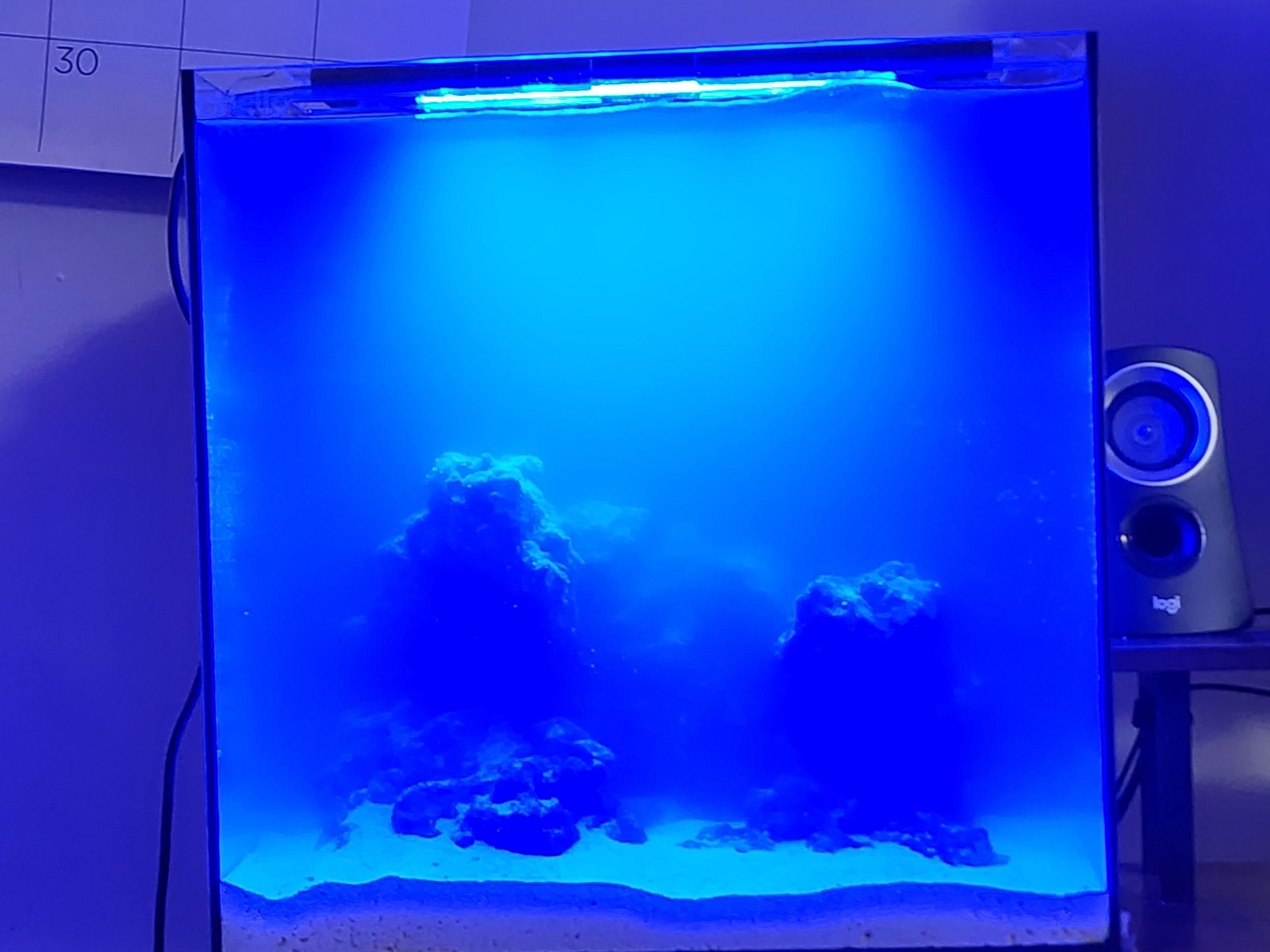 Tank Image