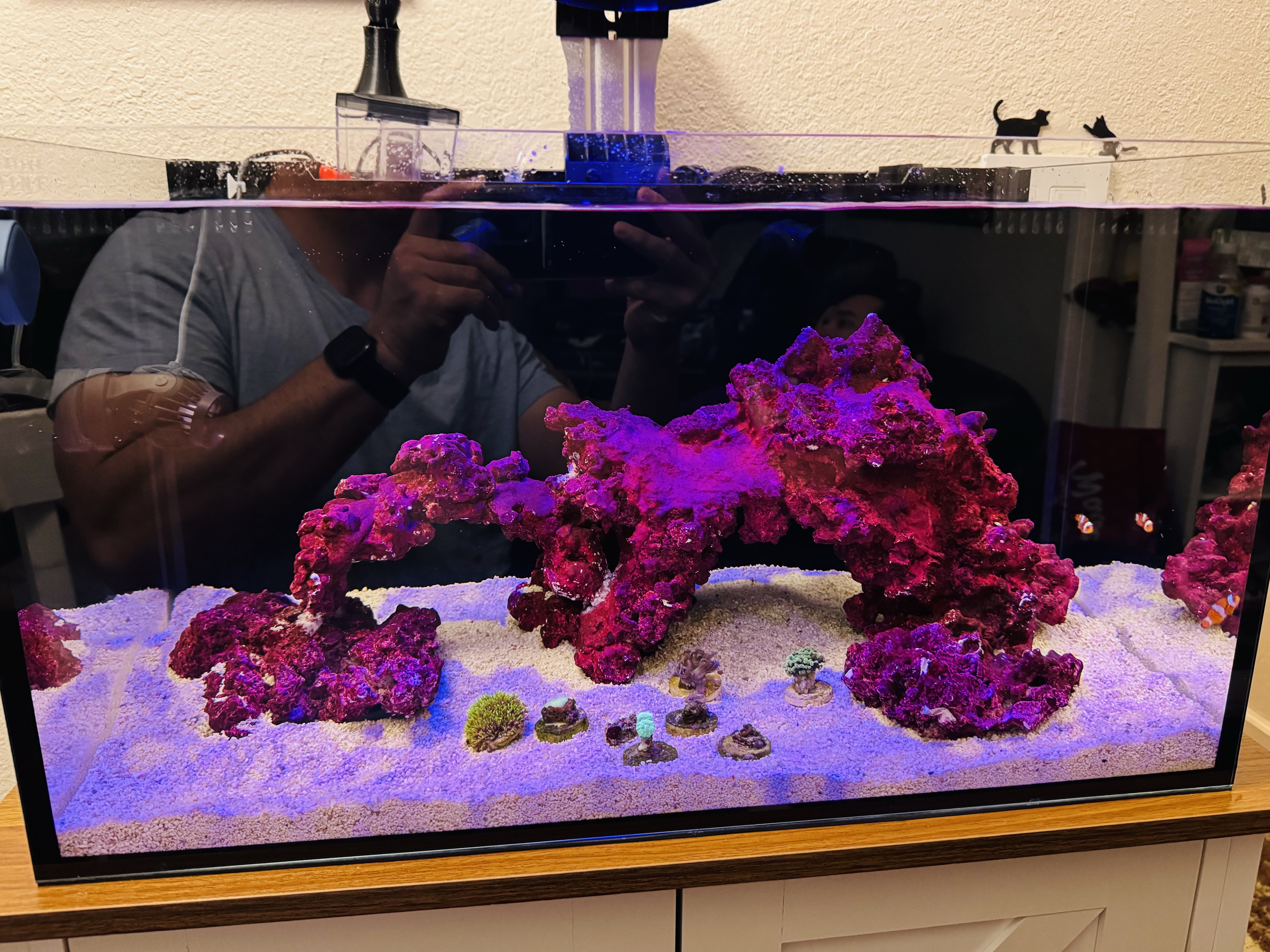 Tank Image