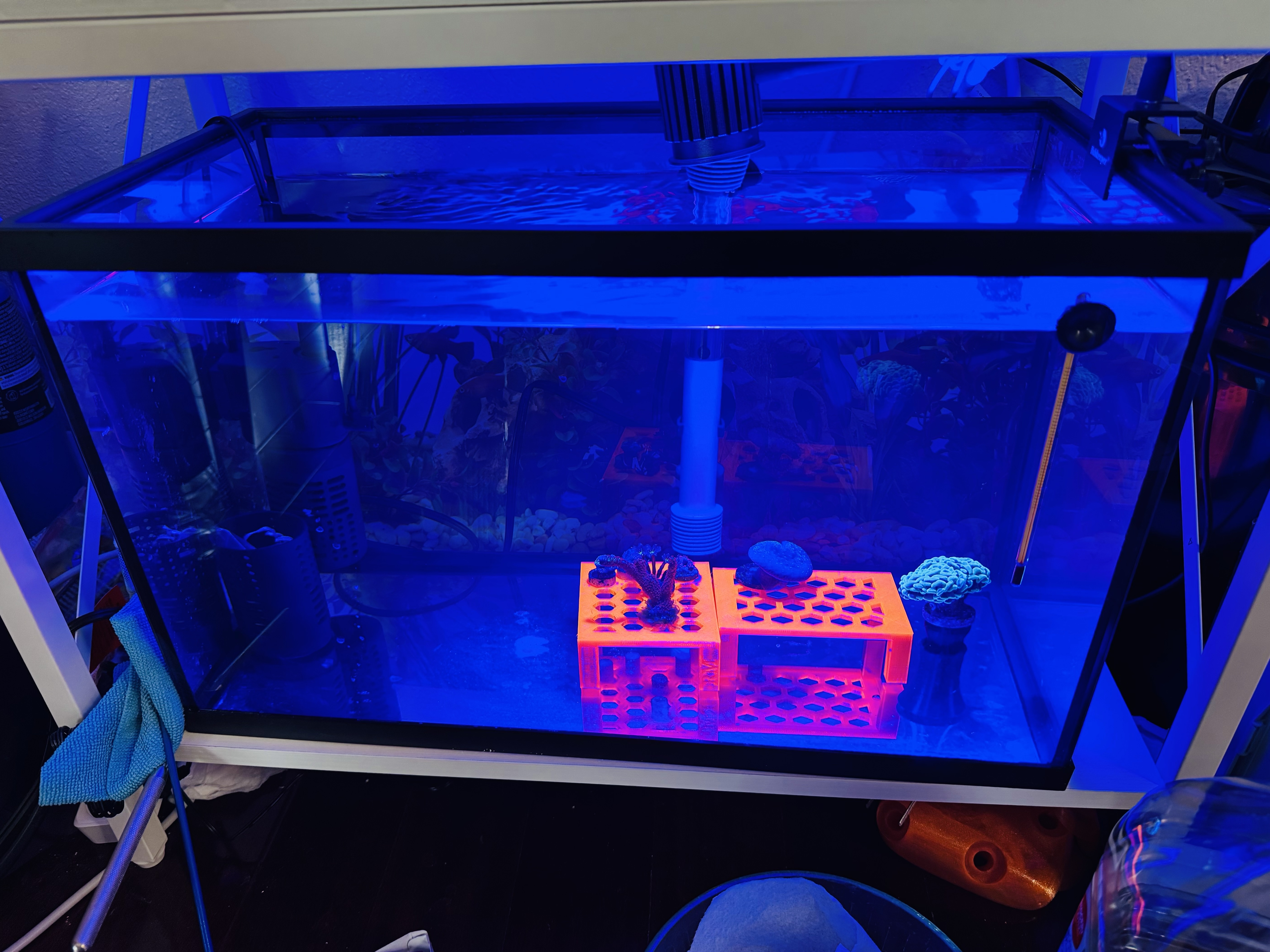 Tank Image