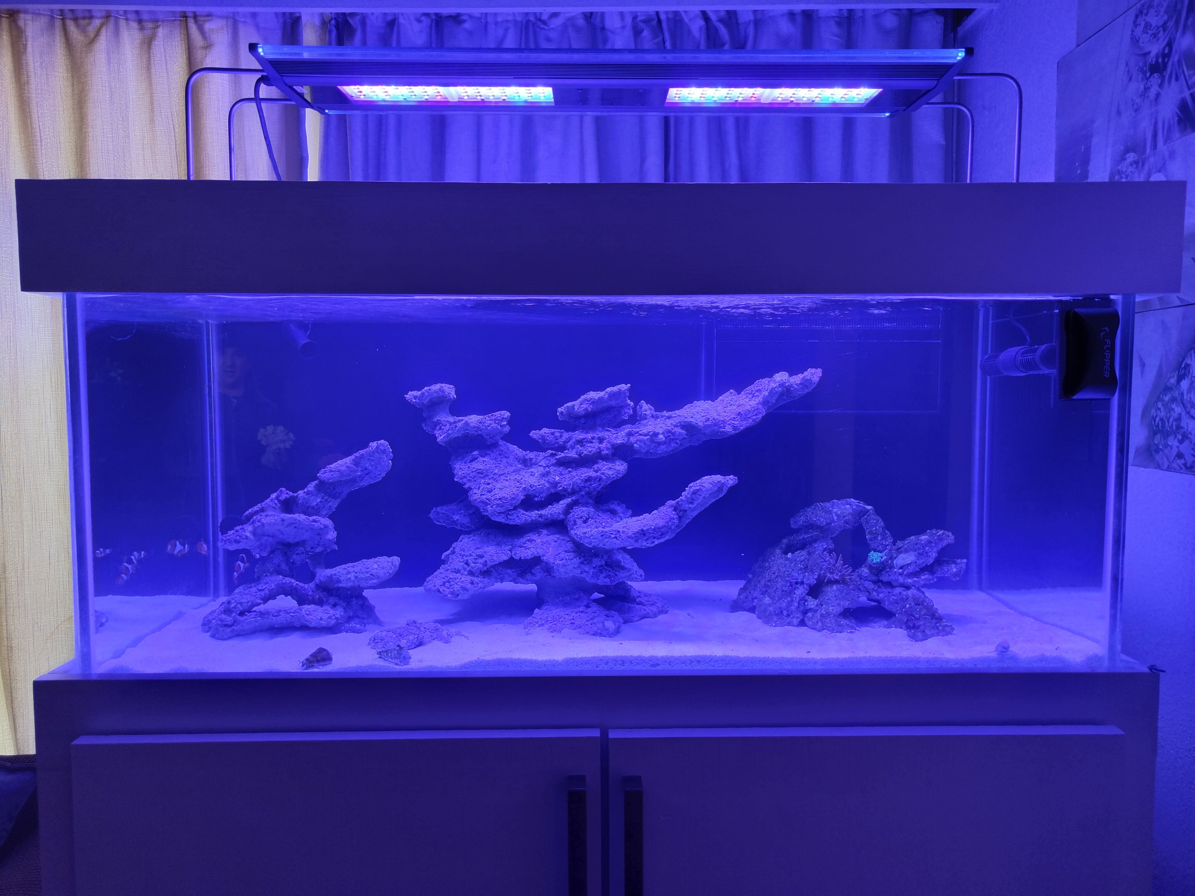 Tank Image