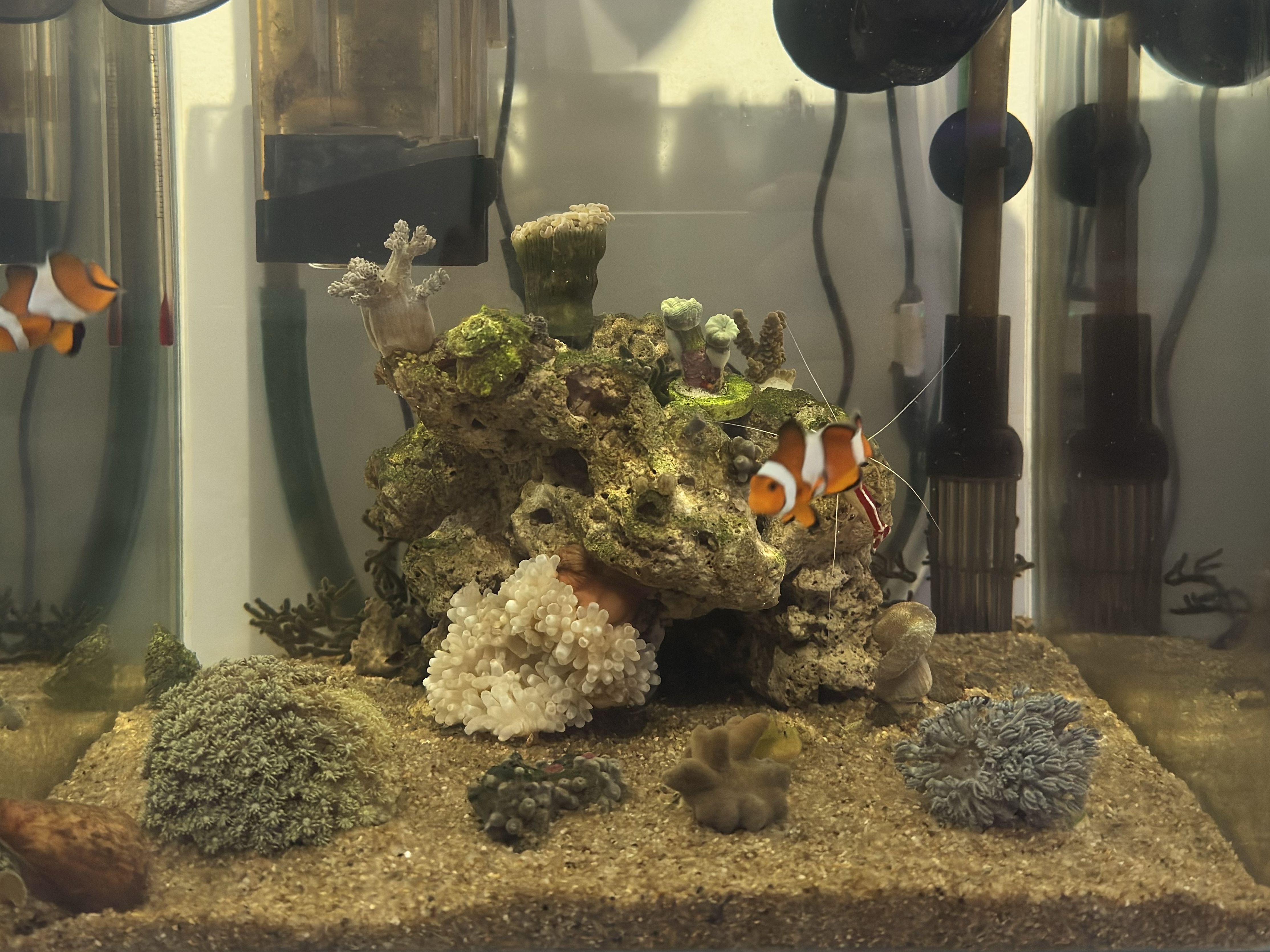 Tank Image