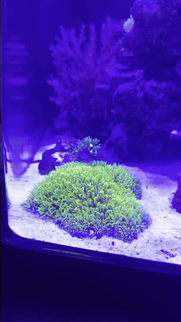 ReefBay post
