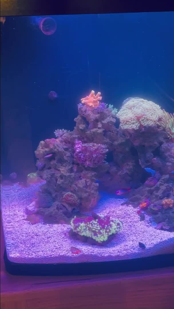 Tank is looking real good today! 😎