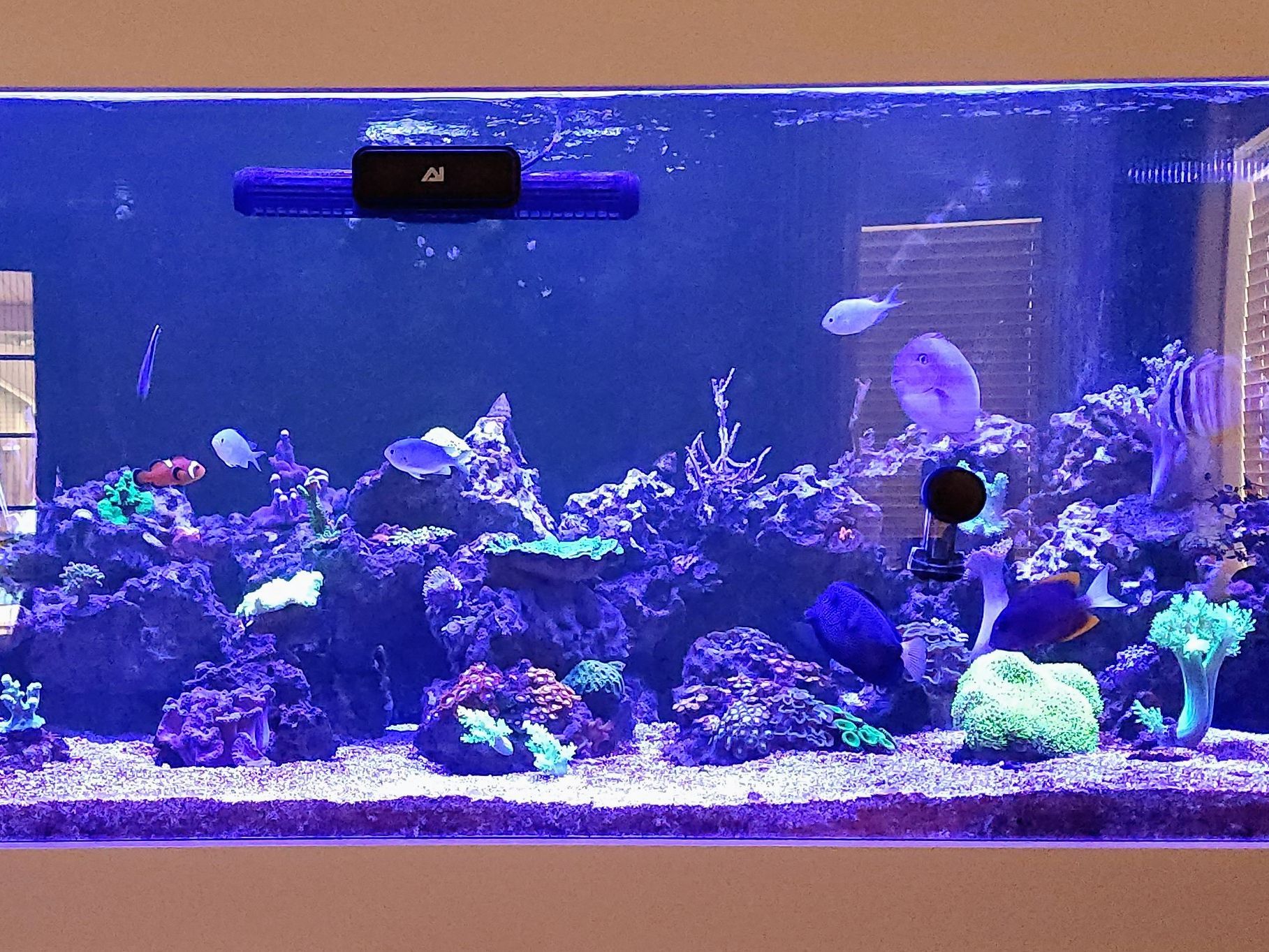 Tank Image
