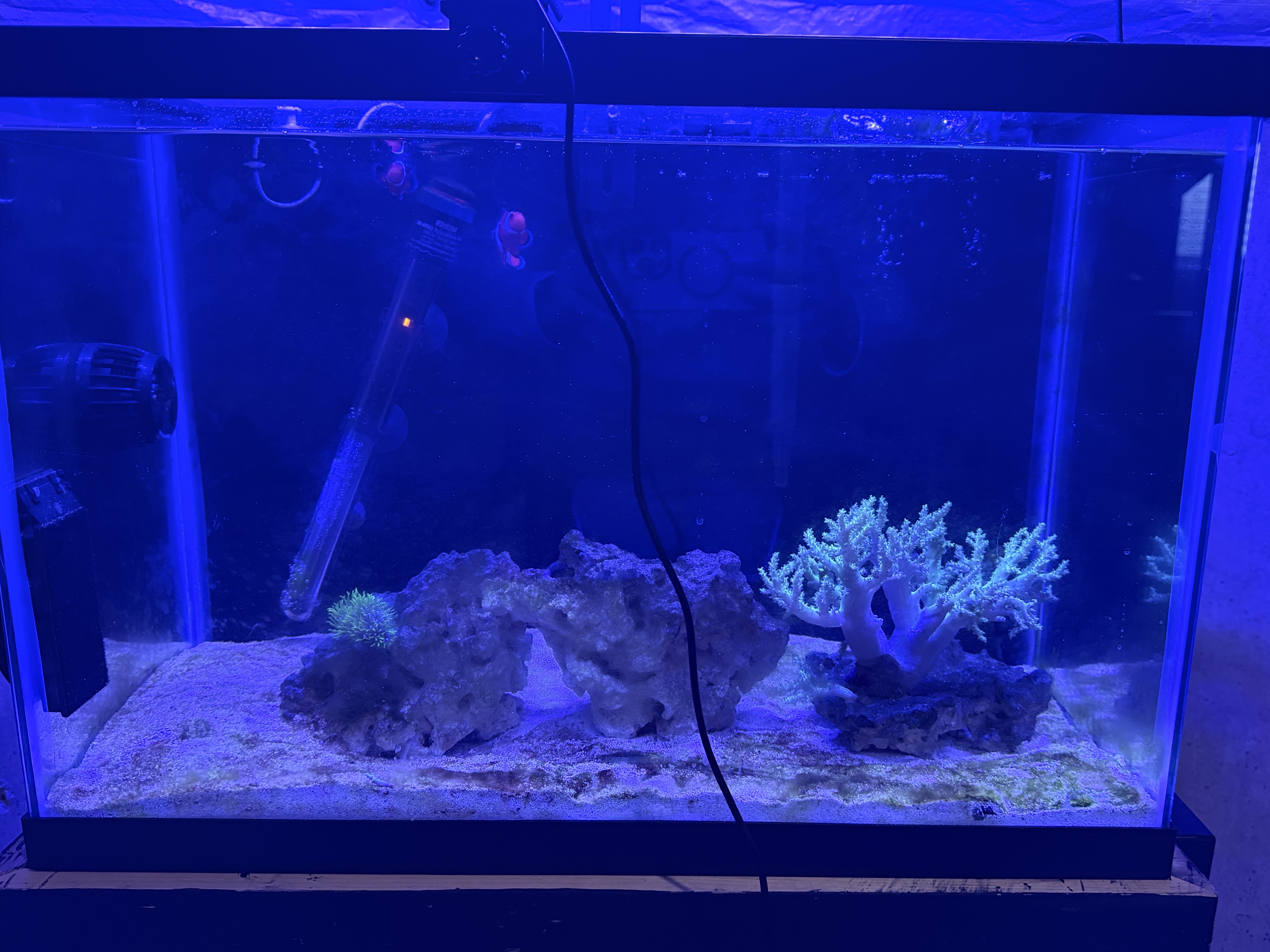 Tank Image