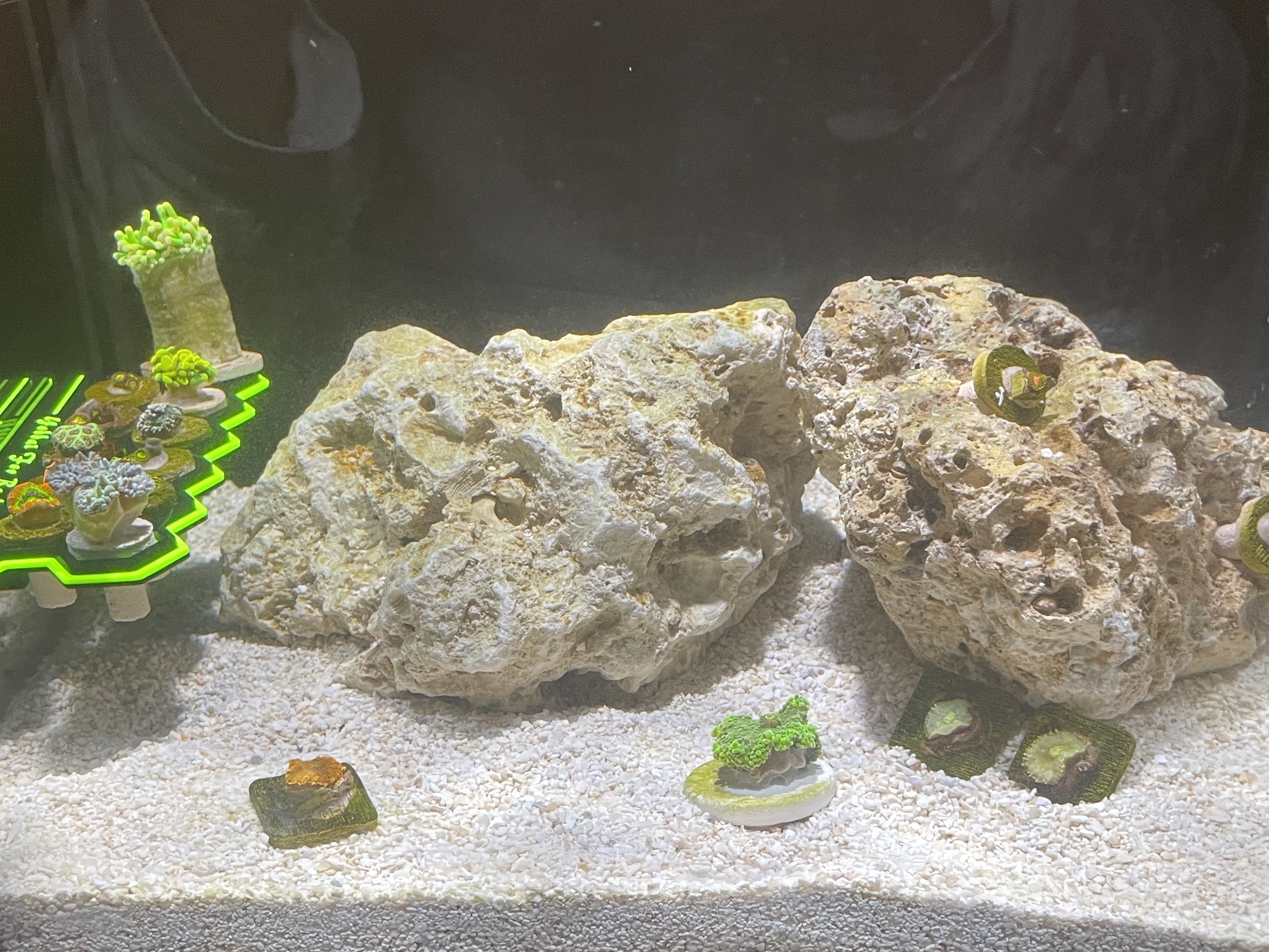 Tank Image