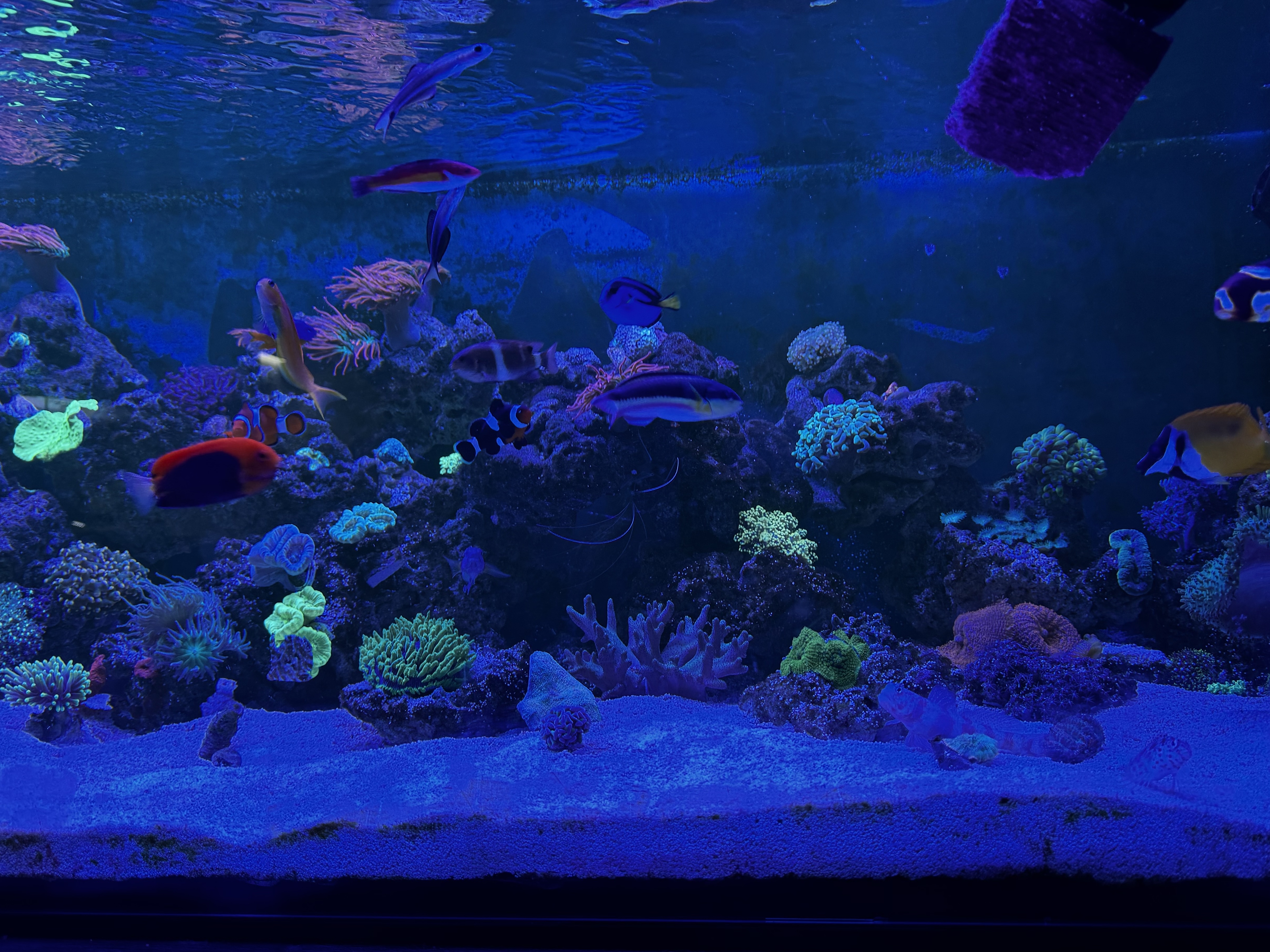 Tank Image
