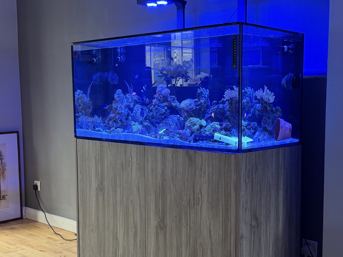 Tank Image