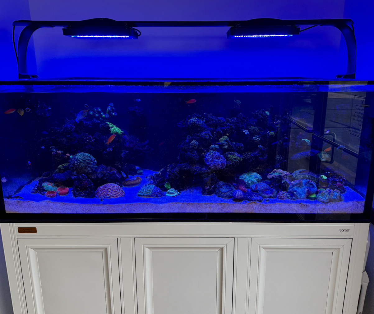 Tank Image