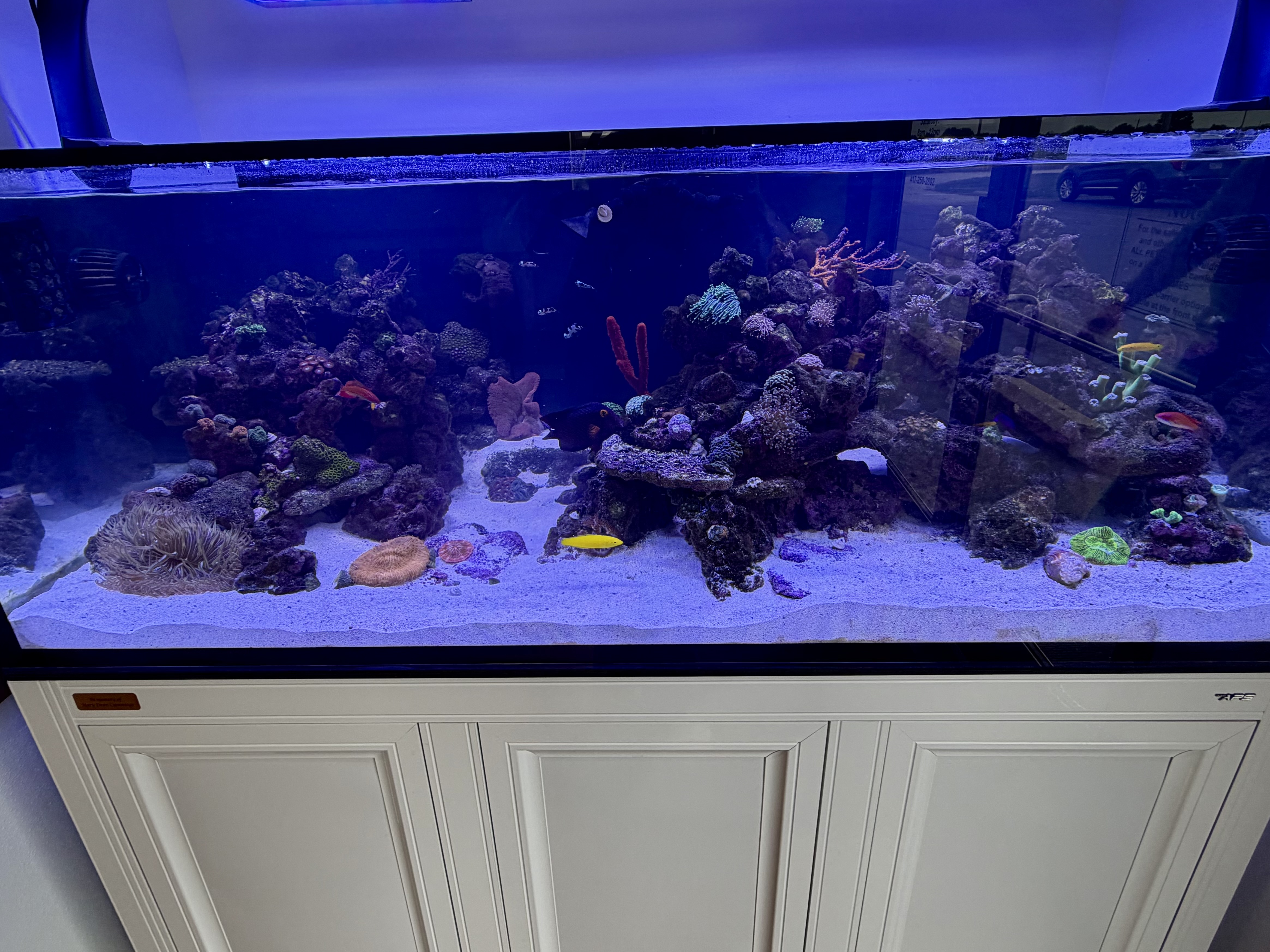 Tank Image