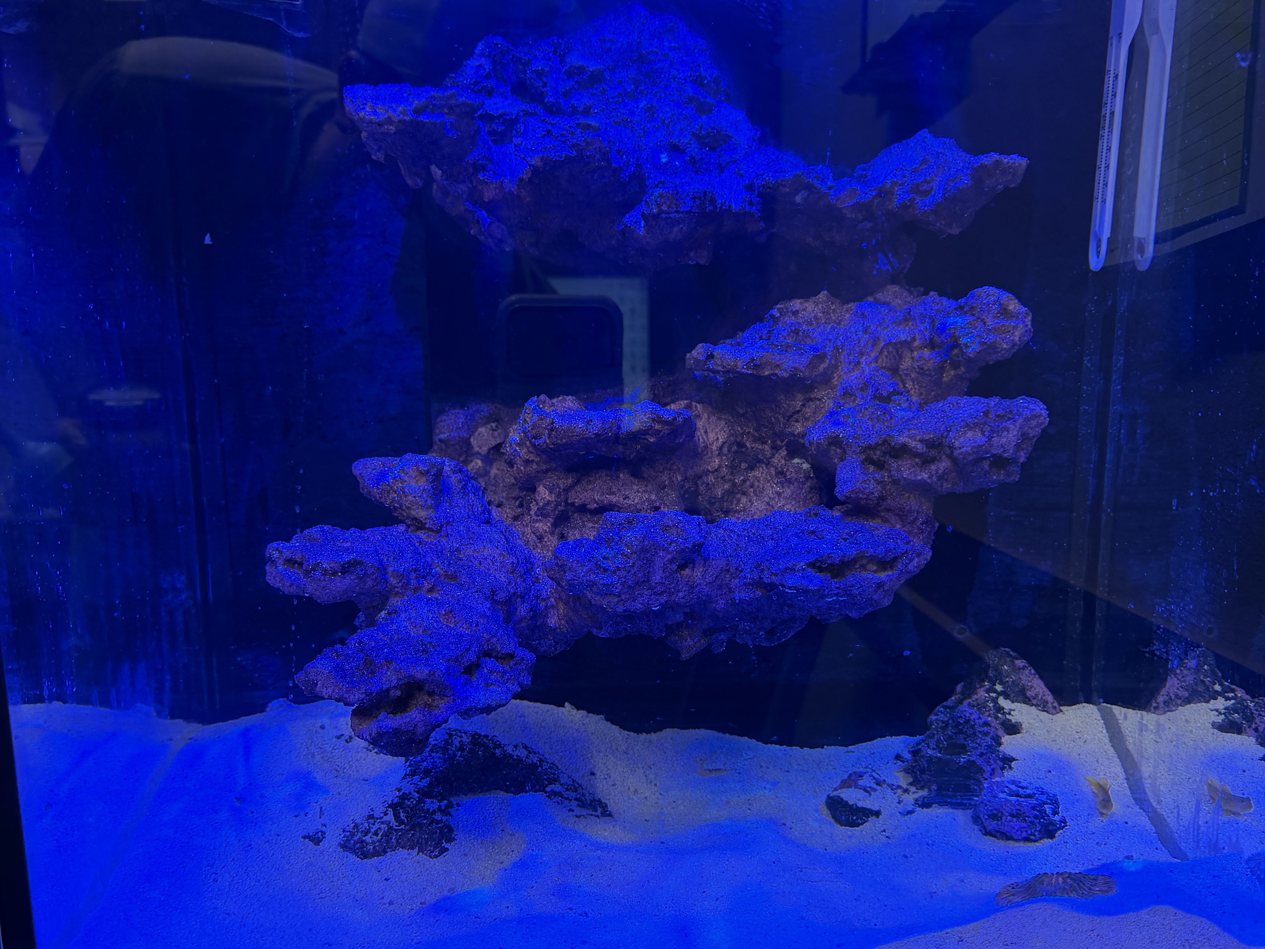 Tank Image