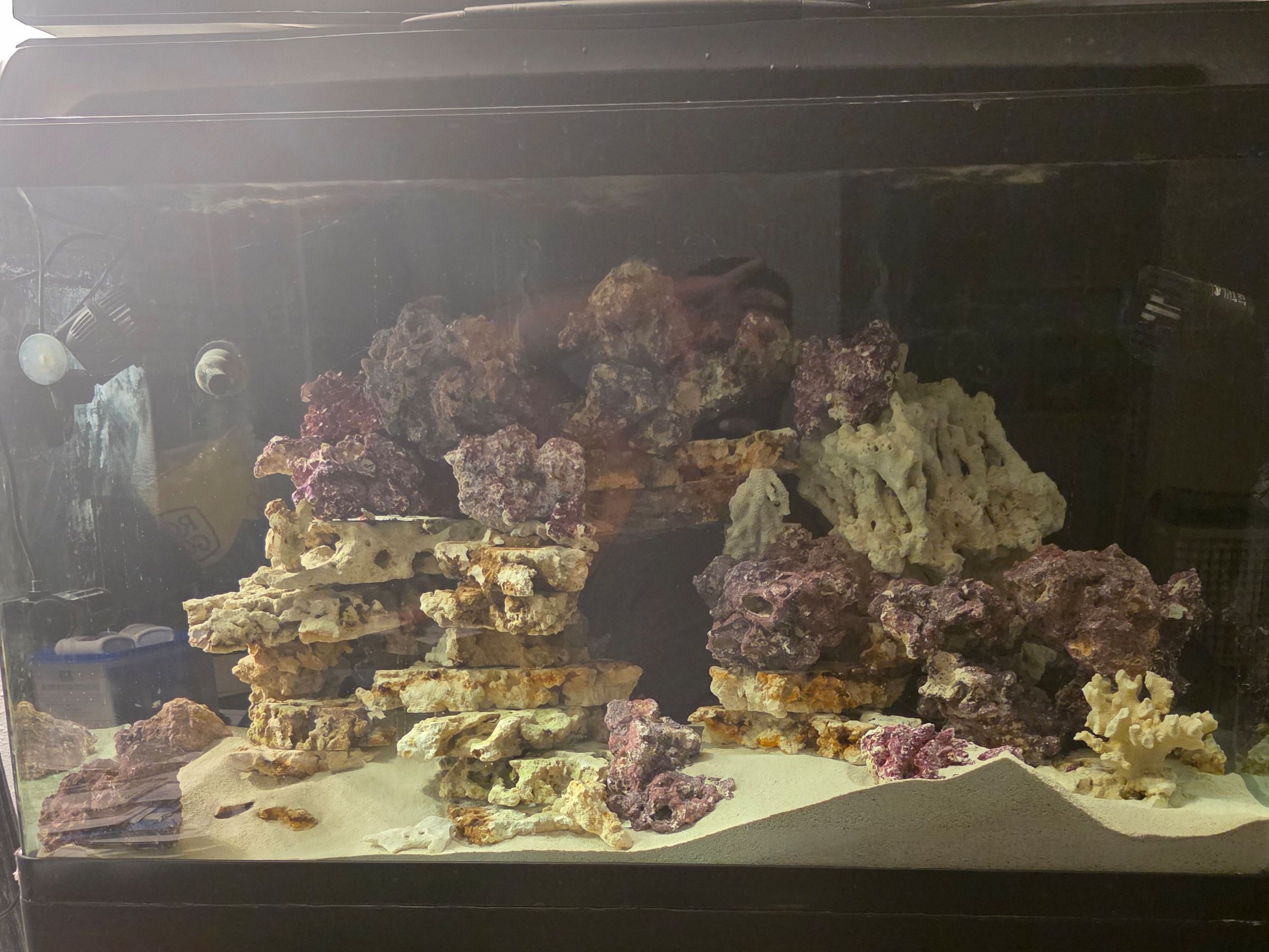 Tank Image