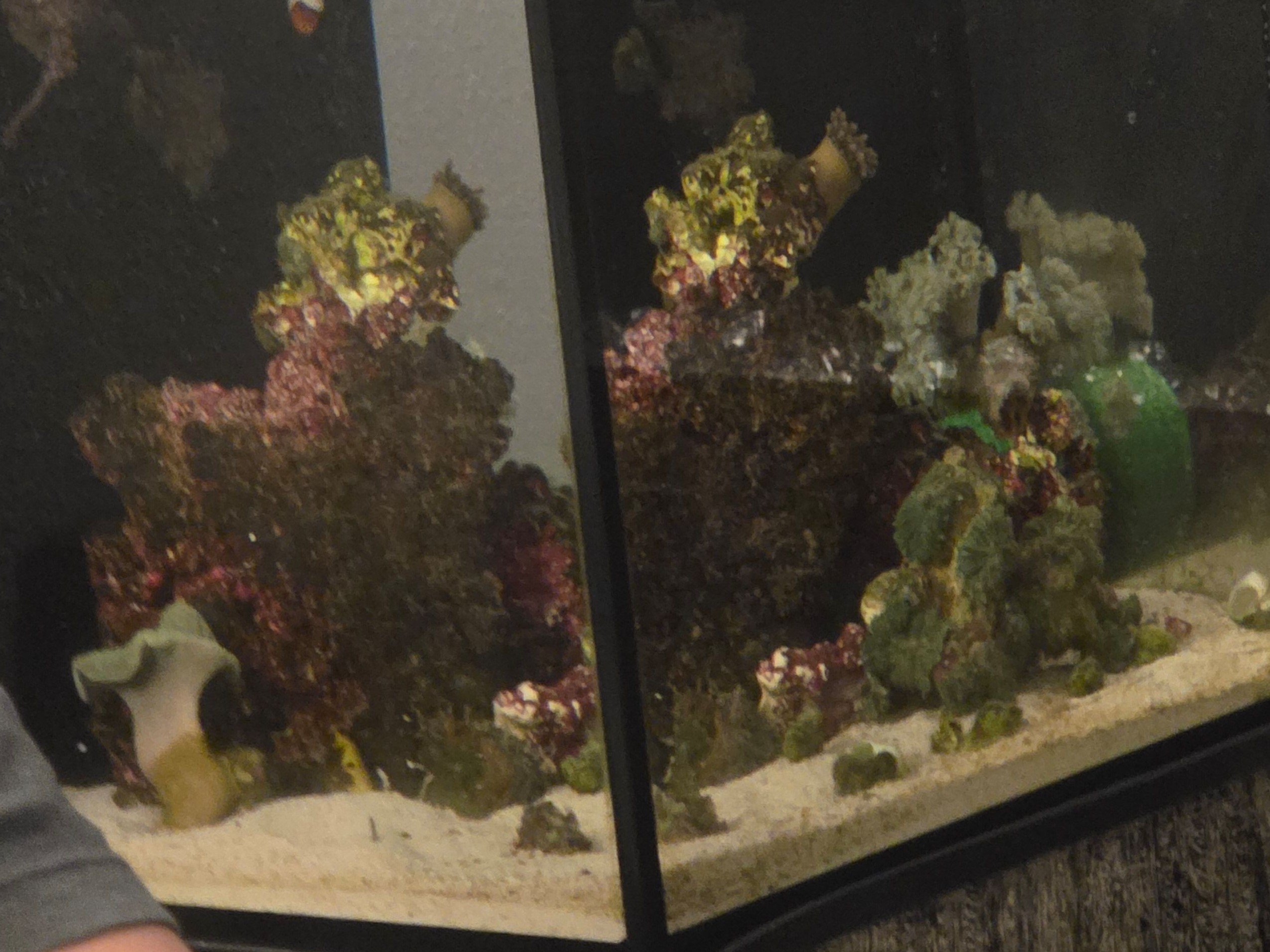 Tank Image