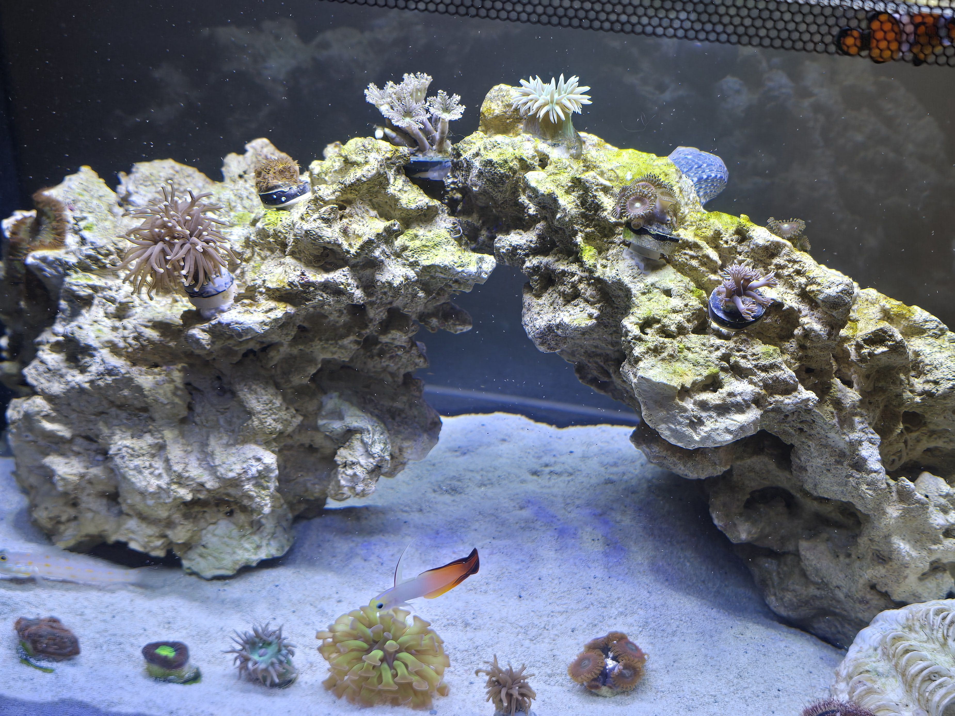 Tank Image
