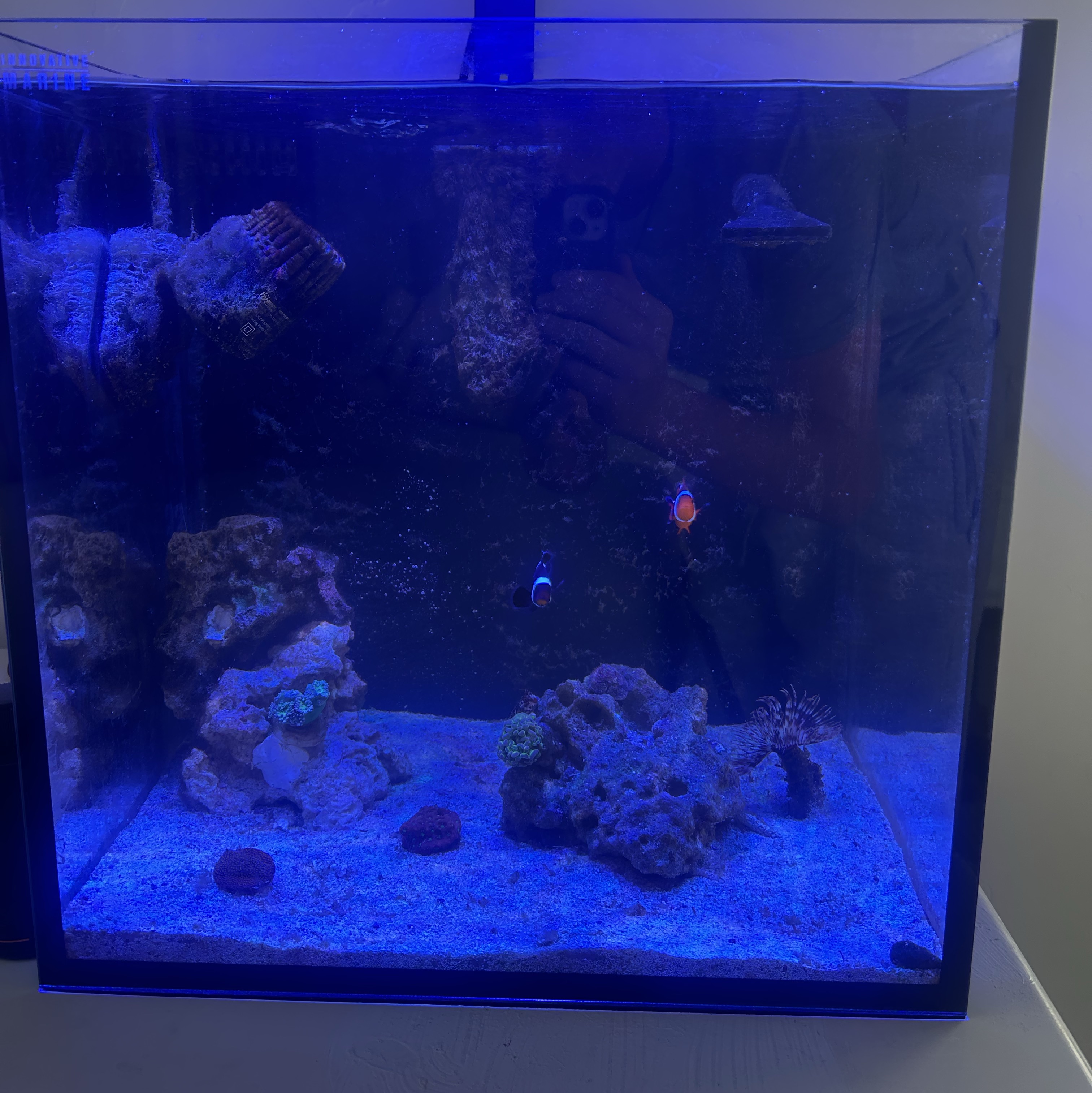 Tank Image