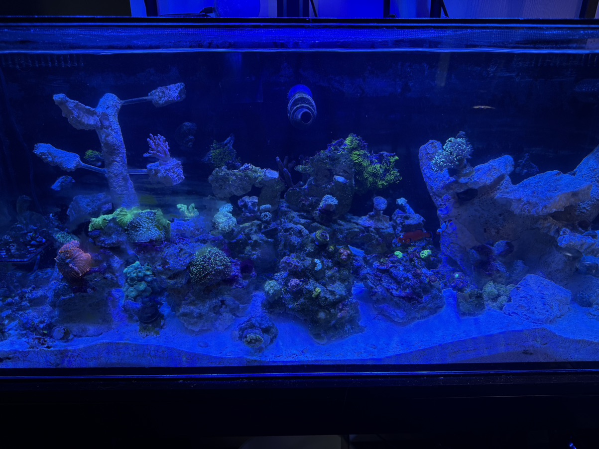 Tank Image