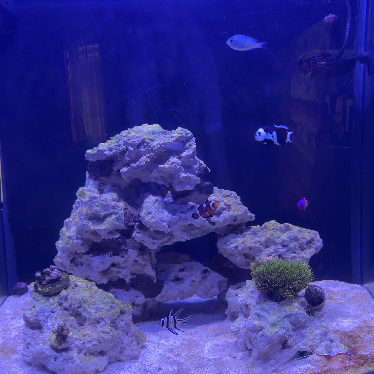 Tank Image
