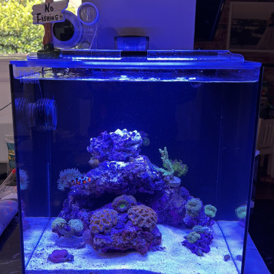 RRBan20