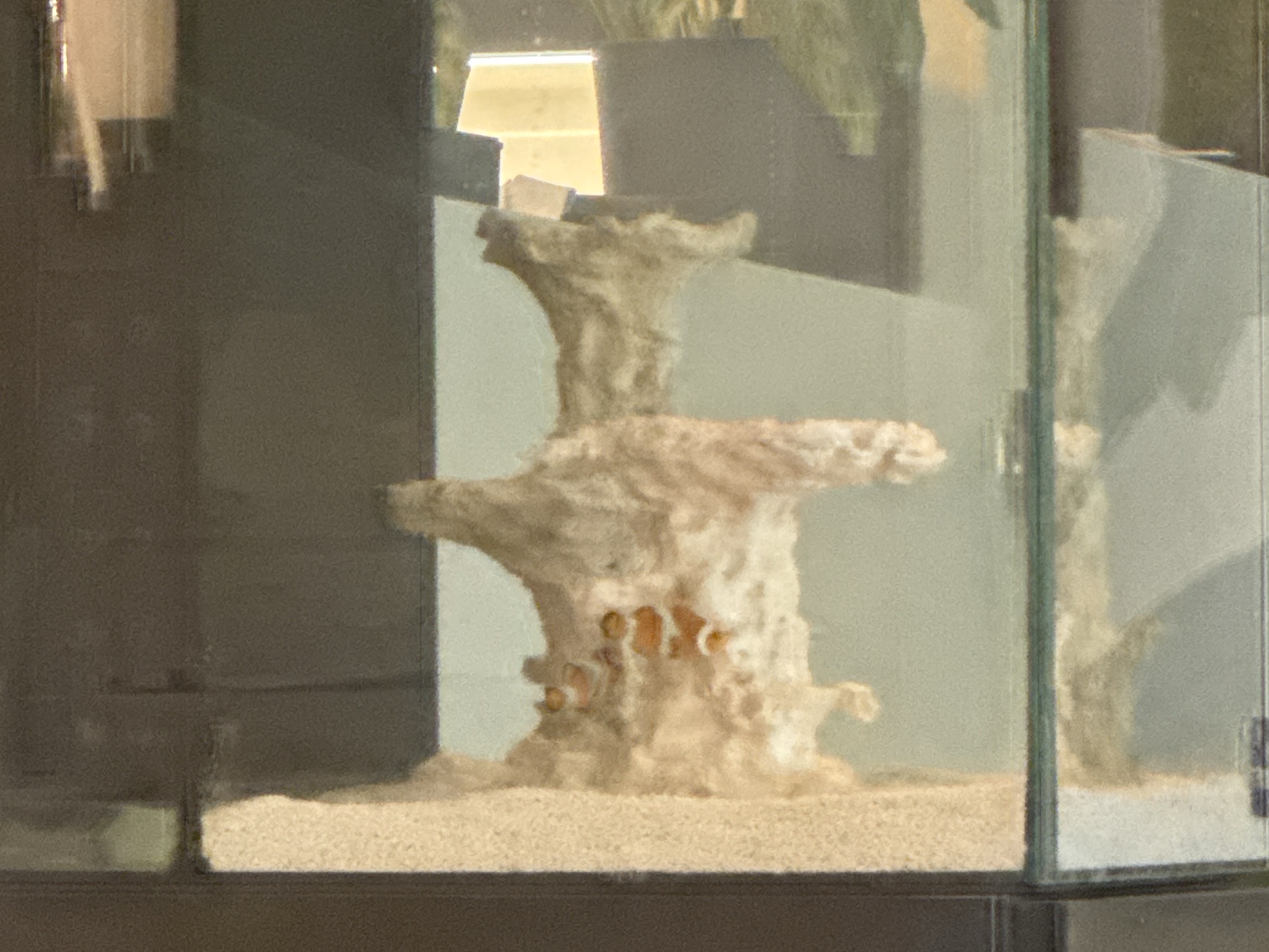 Tank Image