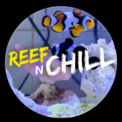 ReefNChill