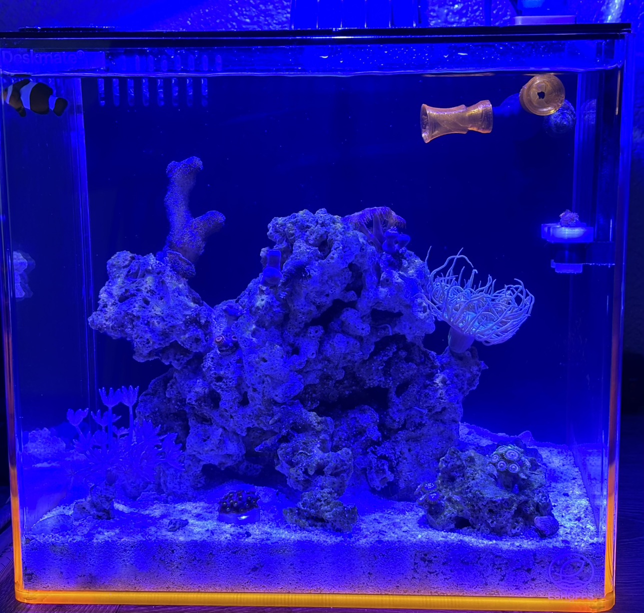 Tank Image